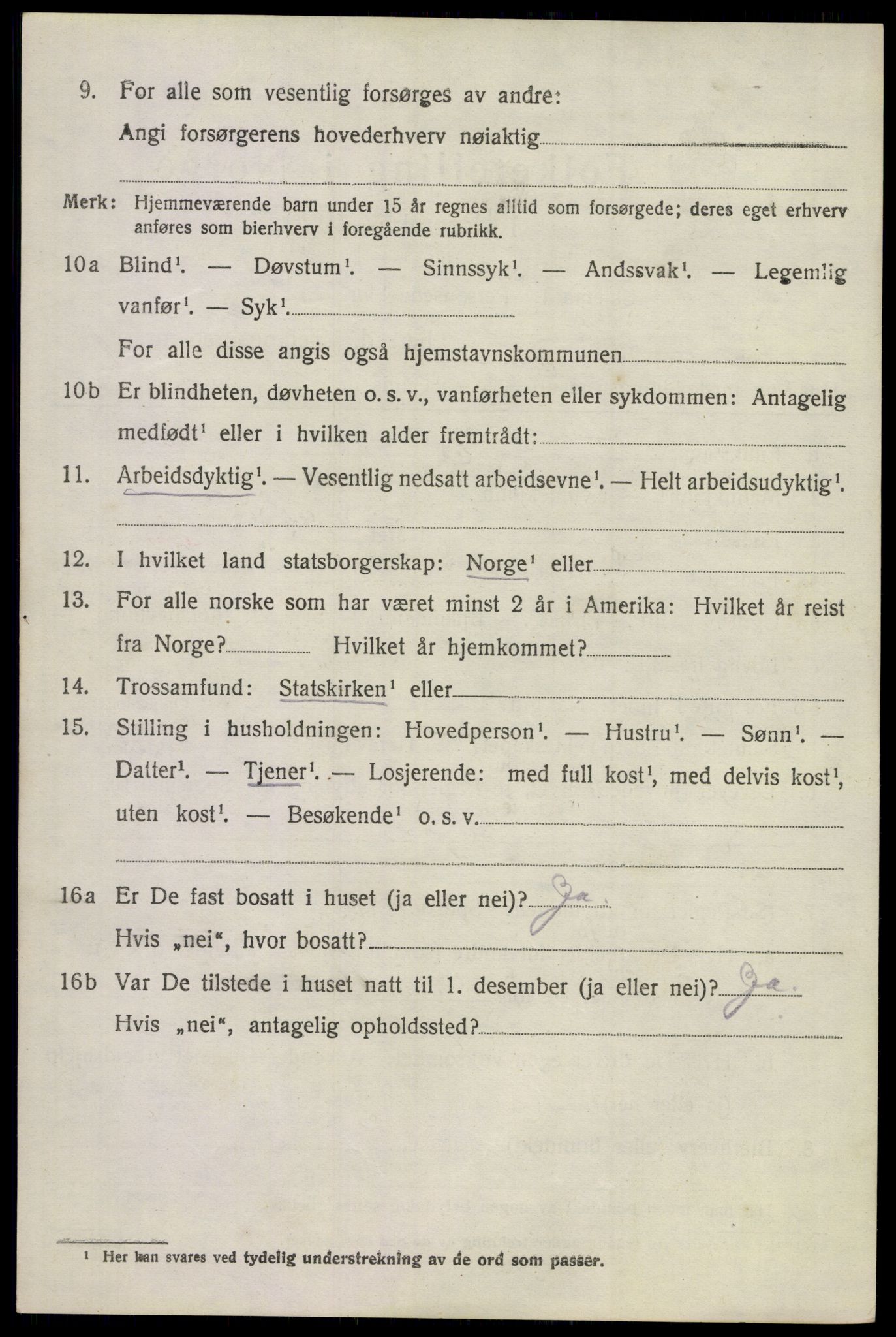 SAKO, 1920 census for Flesberg, 1920, p. 970