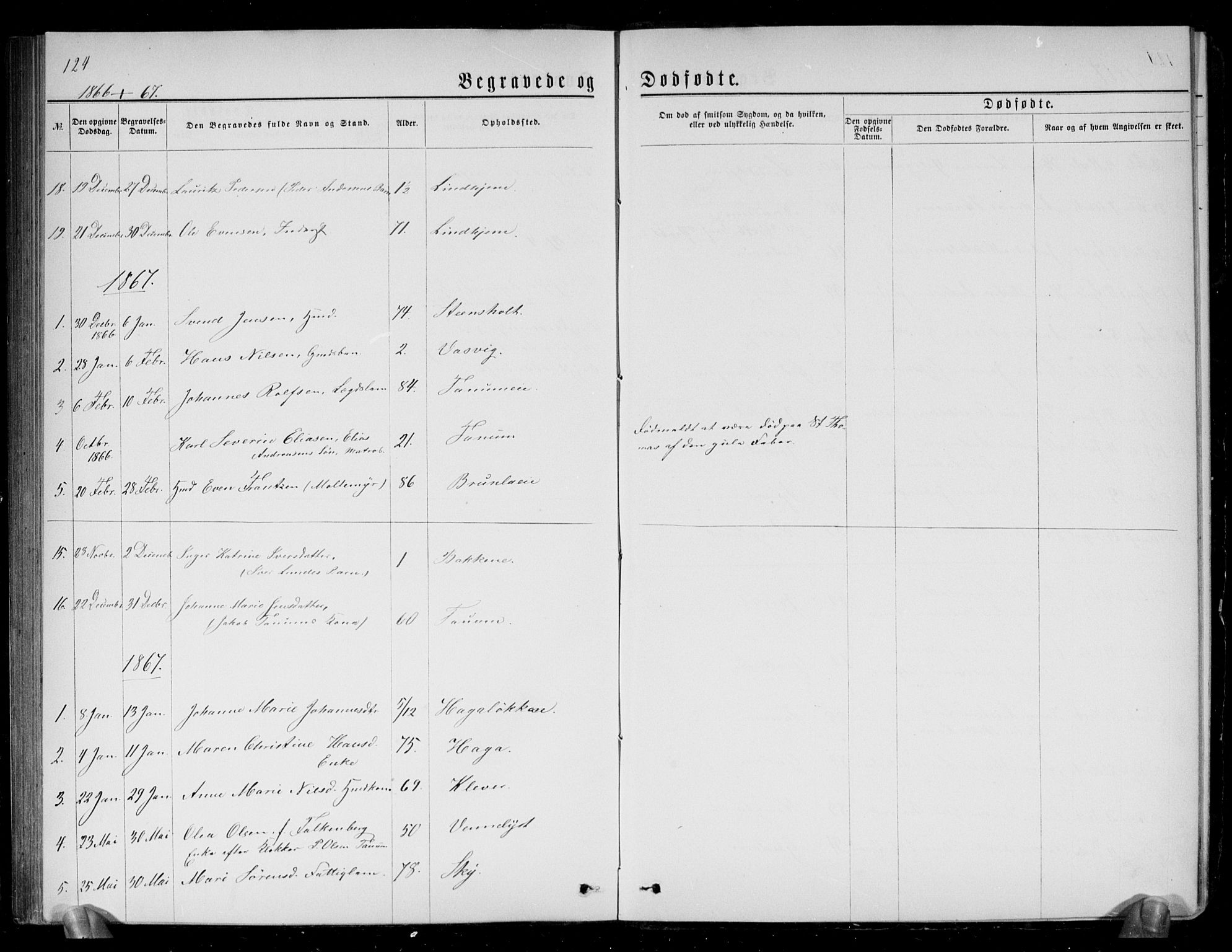 Brunlanes kirkebøker, AV/SAKO-A-342/G/Ga/L0002: Parish register (copy) no. I 2, 1866-1876, p. 124