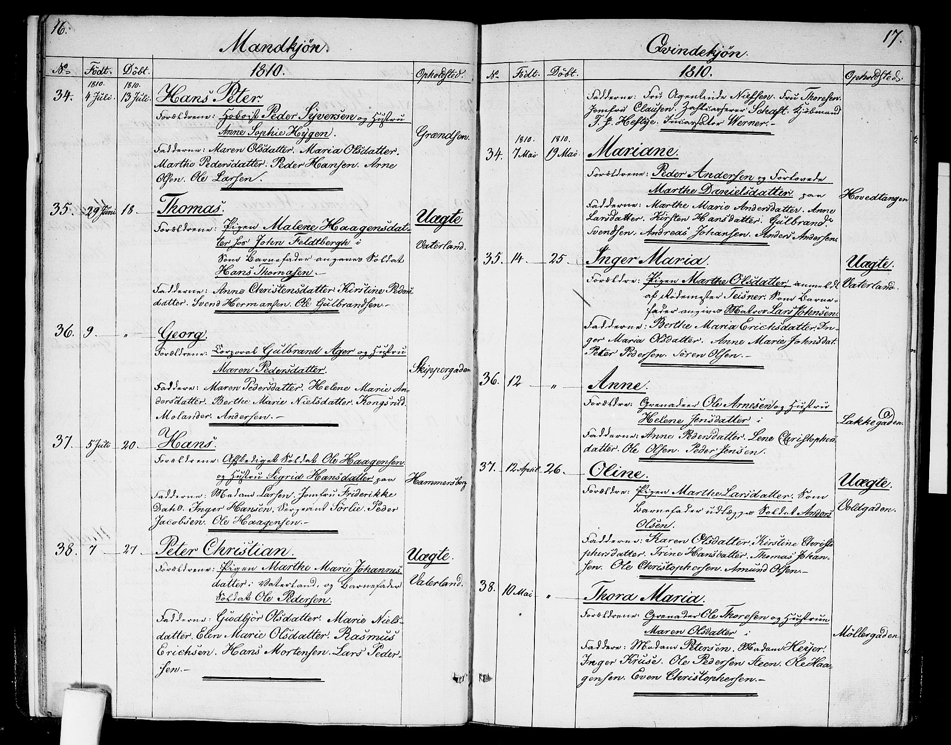 Garnisonsmenigheten Kirkebøker, AV/SAO-A-10846/G/Ga/L0002: Parish register (copy) no. 2, 1810-1814, p. 16-17