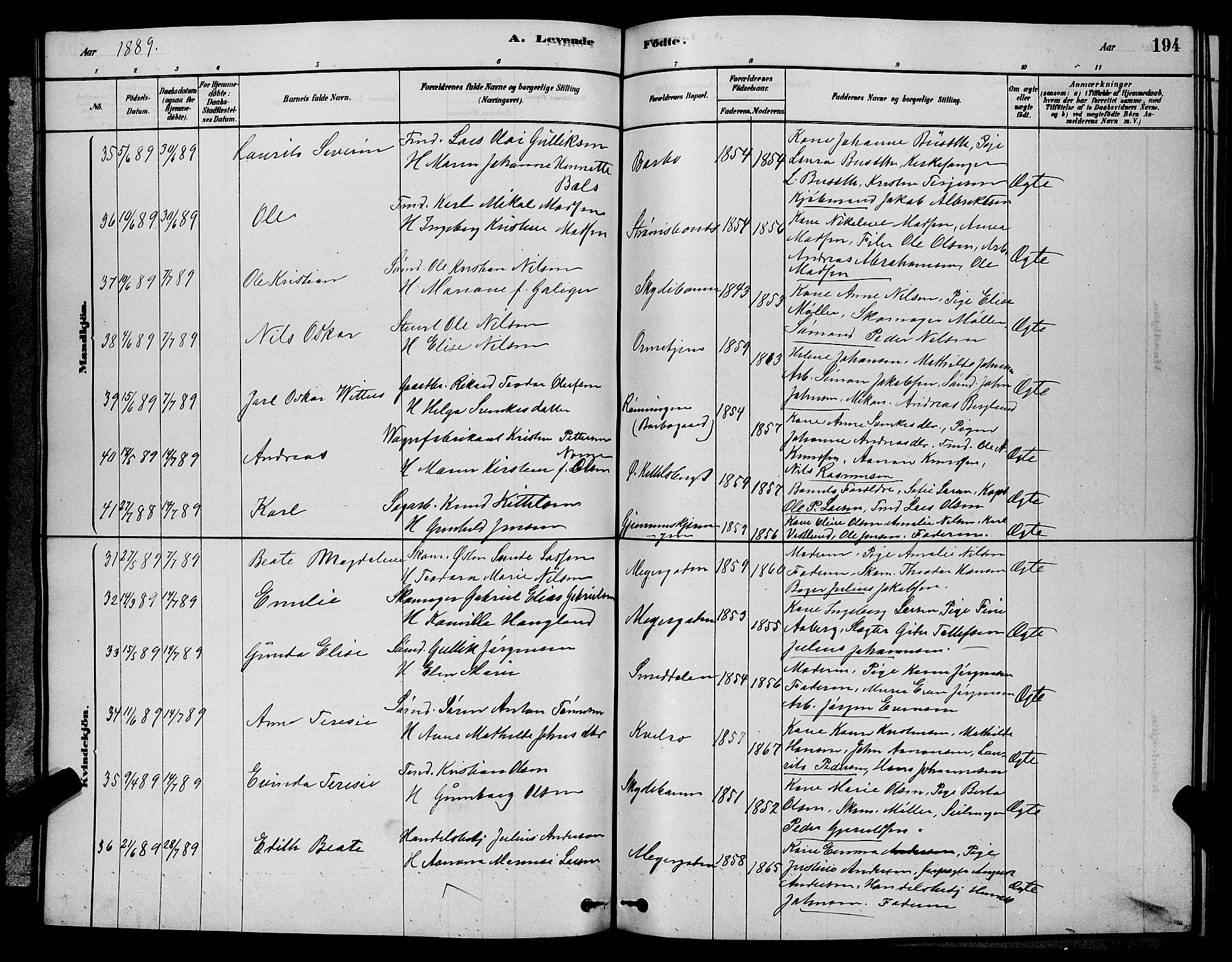 Barbu sokneprestkontor, AV/SAK-1111-0003/F/Fb/L0001: Parish register (copy) no. B 1, 1878-1890, p. 194