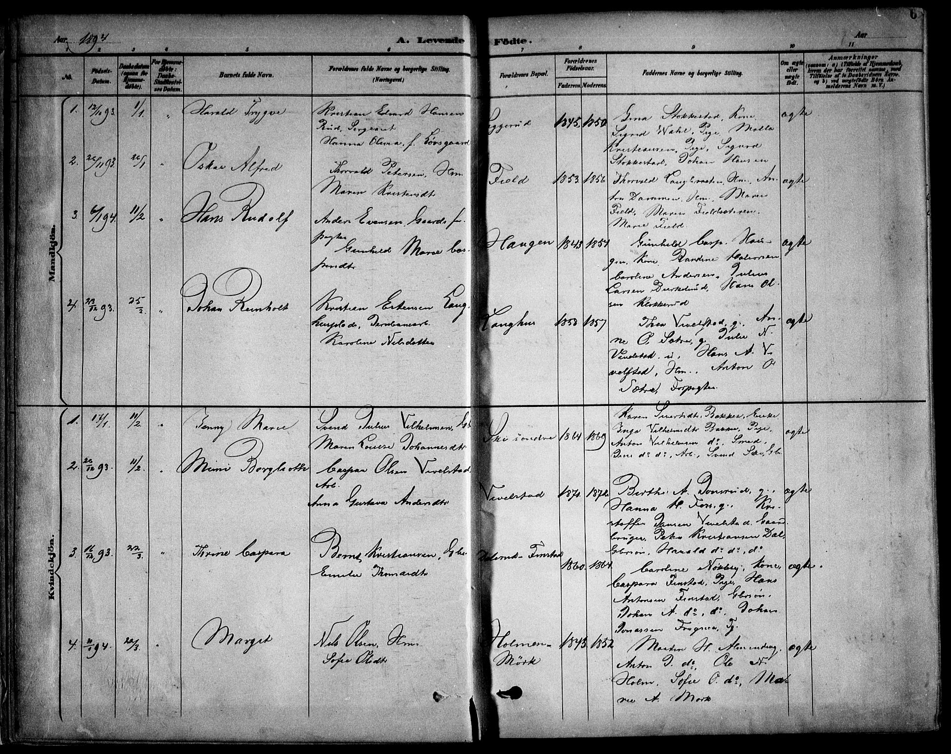 Kråkstad prestekontor Kirkebøker, SAO/A-10125a/F/Fb/L0002: Parish register (official) no. II 2, 1893-1917, p. 6