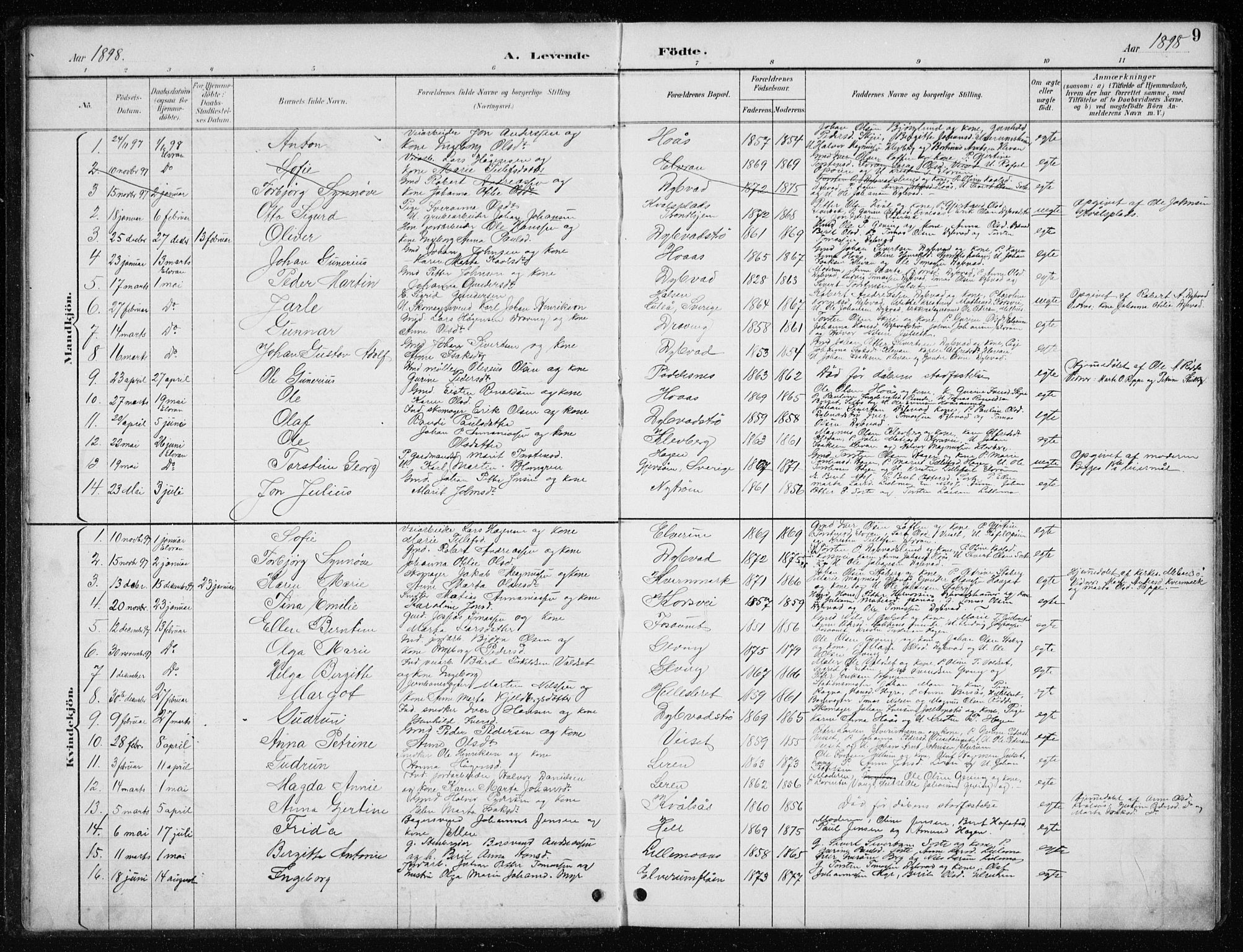 Ministerialprotokoller, klokkerbøker og fødselsregistre - Nord-Trøndelag, AV/SAT-A-1458/710/L0096: Parish register (copy) no. 710C01, 1892-1925, p. 9