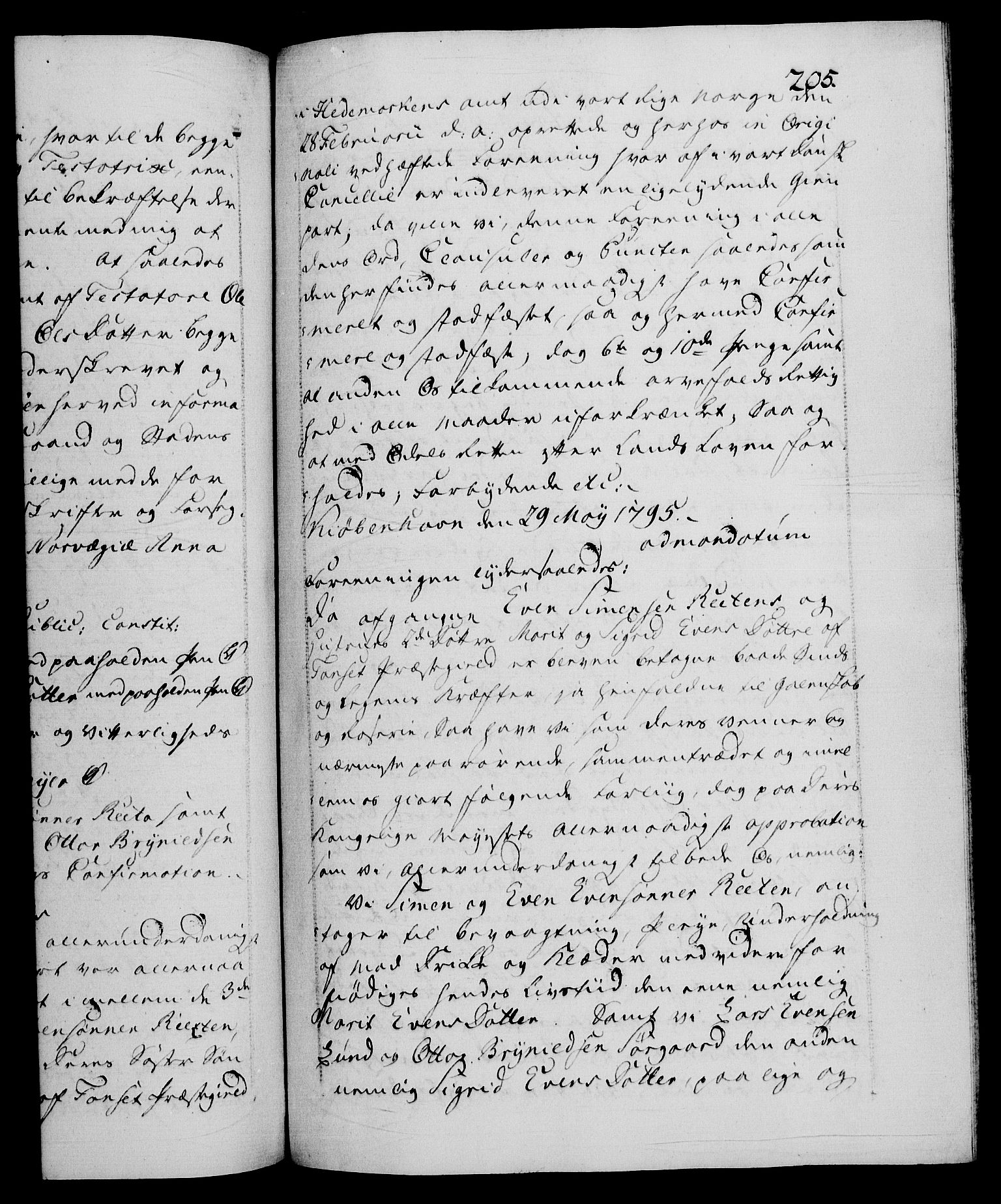 Danske Kanselli 1572-1799, AV/RA-EA-3023/F/Fc/Fca/Fcaa/L0056: Norske registre, 1795-1796, p. 205a