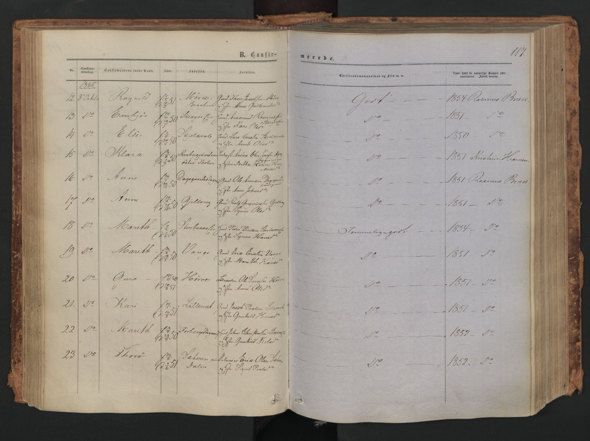 Skjåk prestekontor, SAH/PREST-072/H/Ha/Haa/L0001: Parish register (official) no. 1, 1863-1879, p. 117