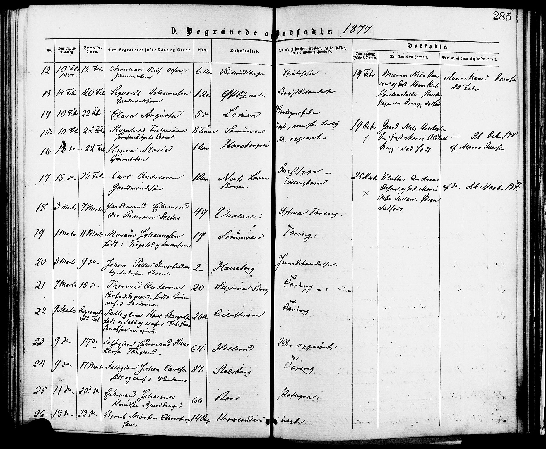 Skedsmo prestekontor Kirkebøker, AV/SAO-A-10033a/F/Fa/L0012: Parish register (official) no. I 12, 1876-1883, p. 285