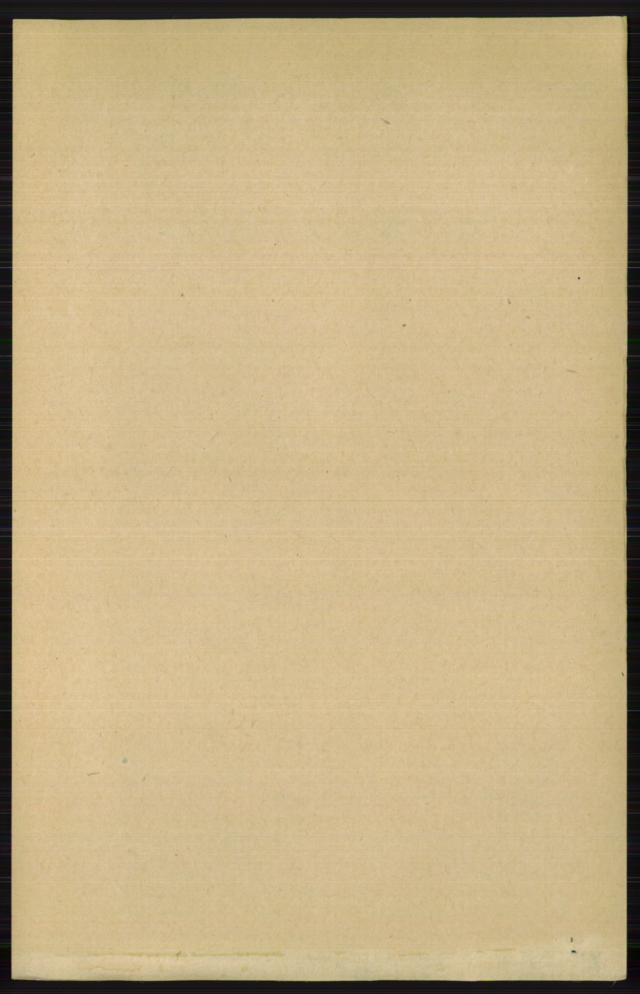 RA, 1891 census for 0616 Nes, 1891, p. 3599