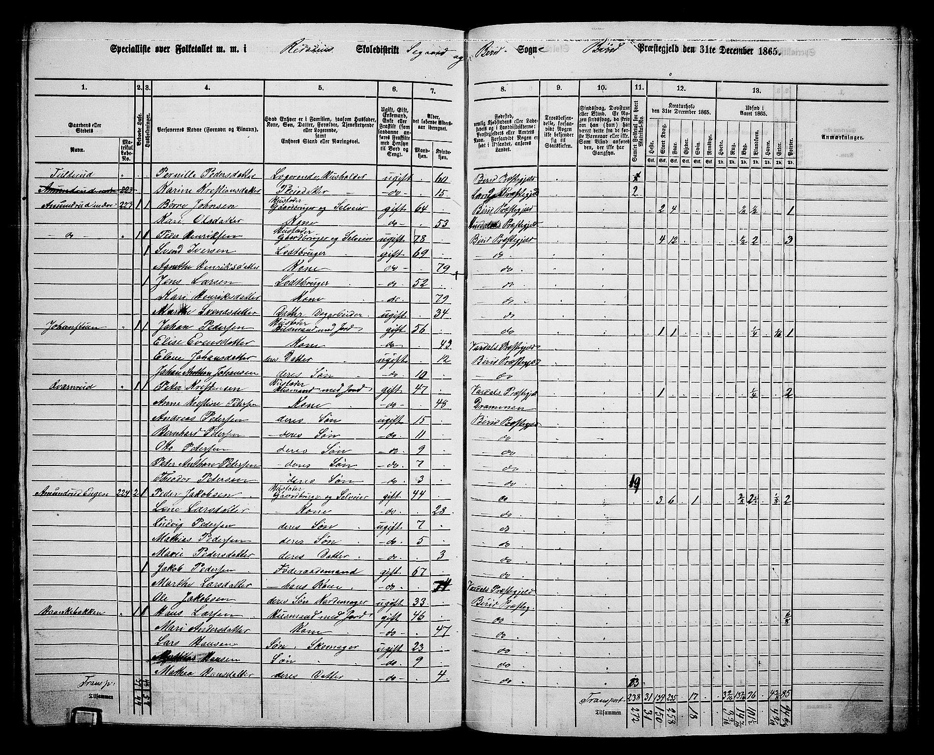 RA, 1865 census for Biri, 1865, p. 193