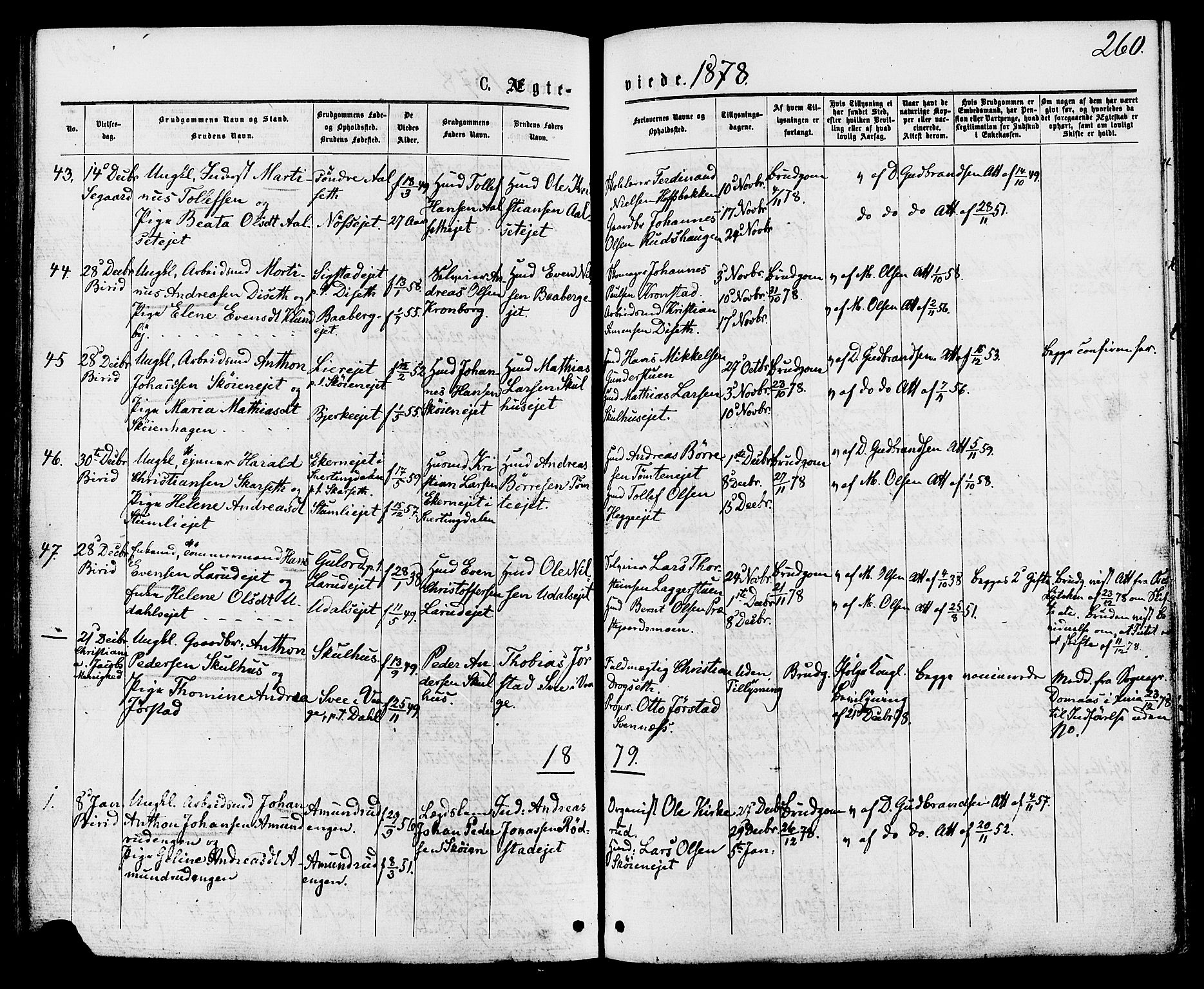 Biri prestekontor, SAH/PREST-096/H/Ha/Haa/L0006: Parish register (official) no. 6, 1877-1886, p. 260