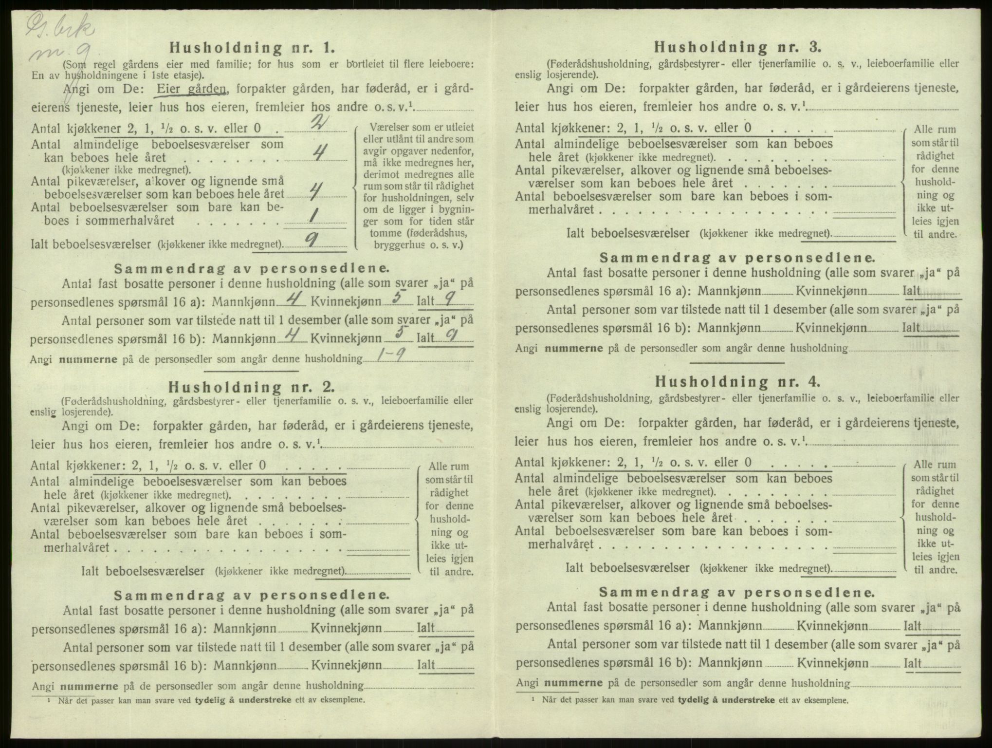 SAB, 1920 census for Lærdal, 1920, p. 126