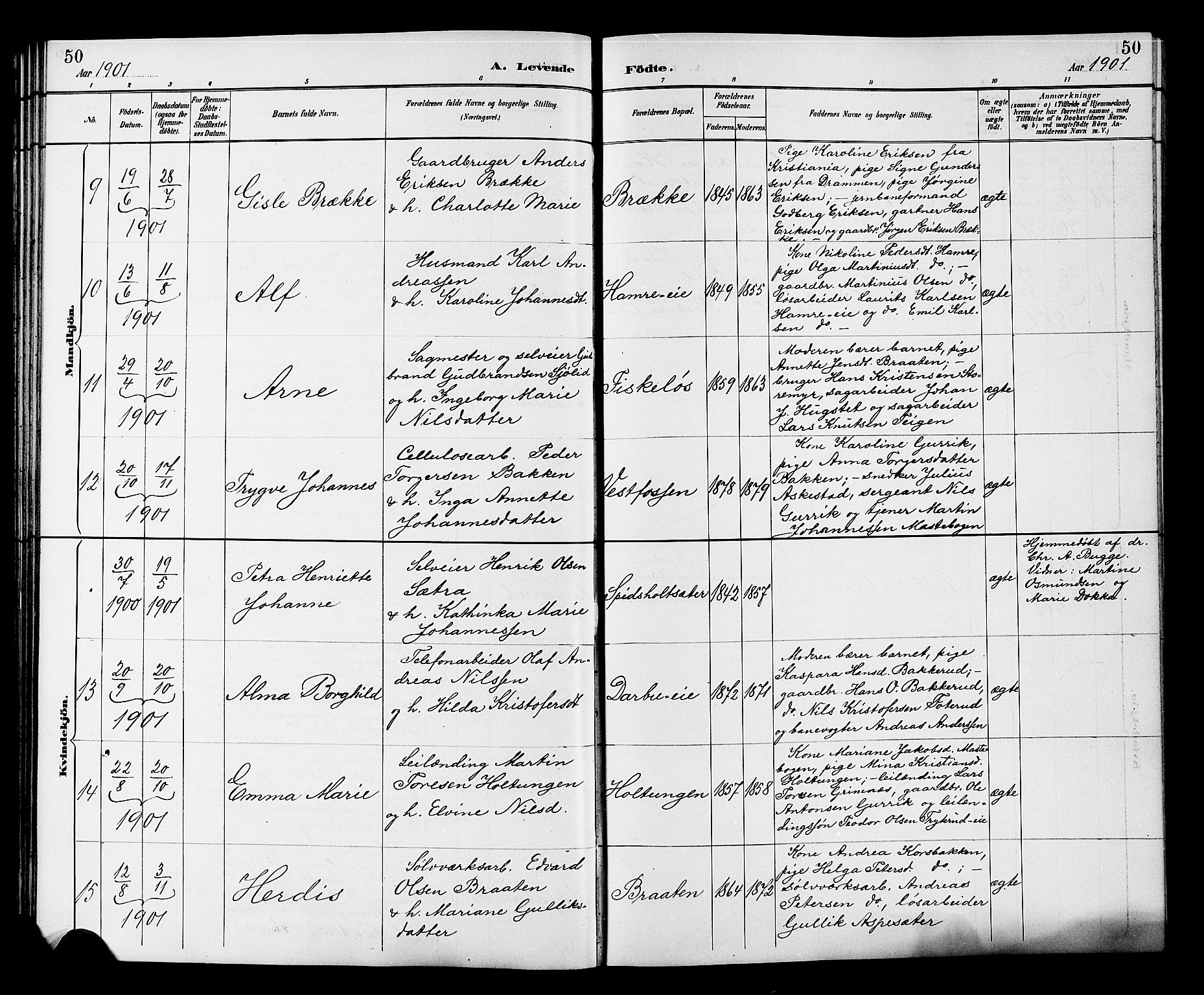 Fiskum kirkebøker, AV/SAKO-A-15/G/Ga/L0005: Parish register (copy) no. 5, 1887-1912, p. 50