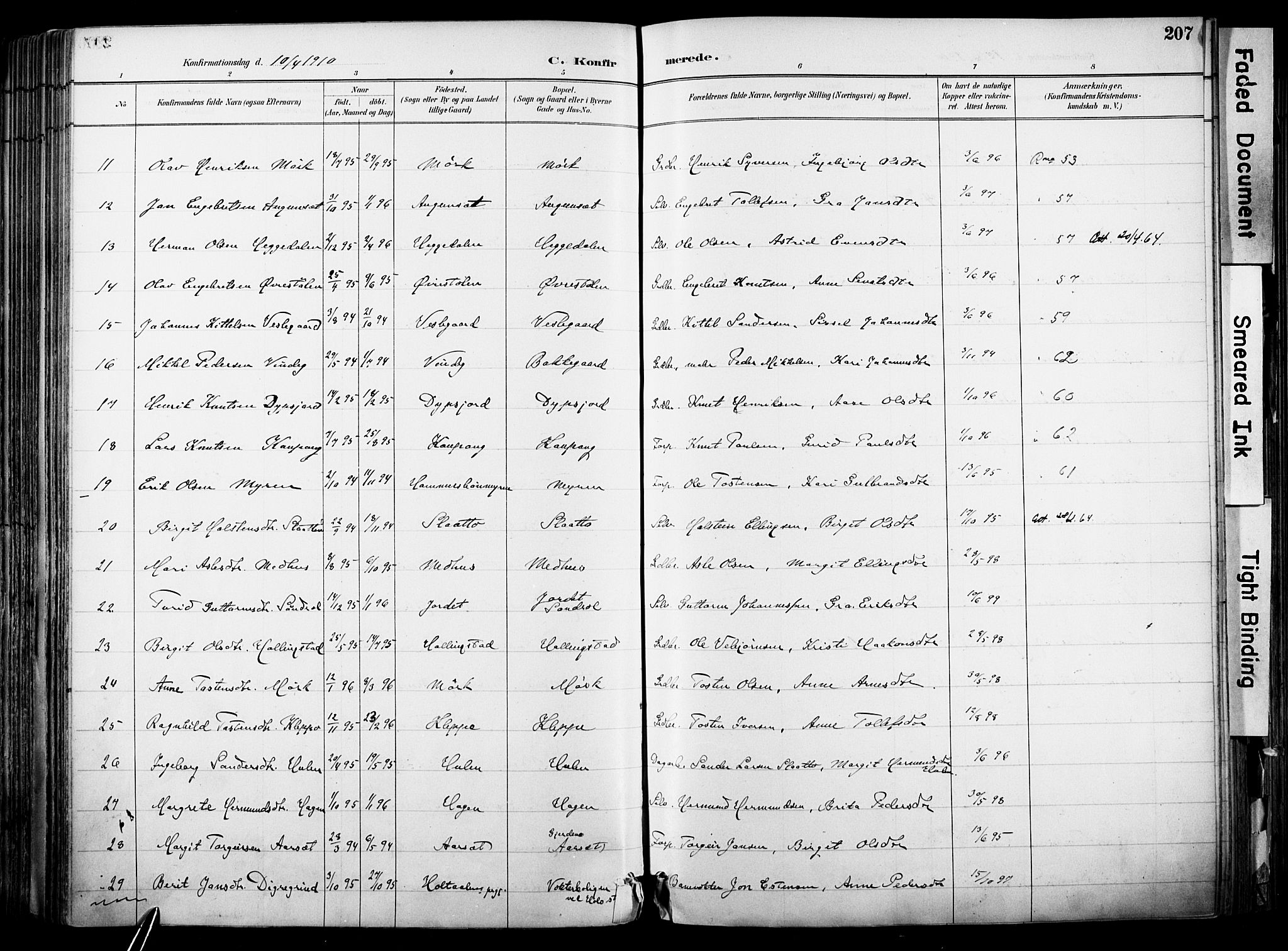 Hol kirkebøker, AV/SAKO-A-227/F/Fa/L0003: Parish register (official) no. I 3, 1887-1918, p. 207