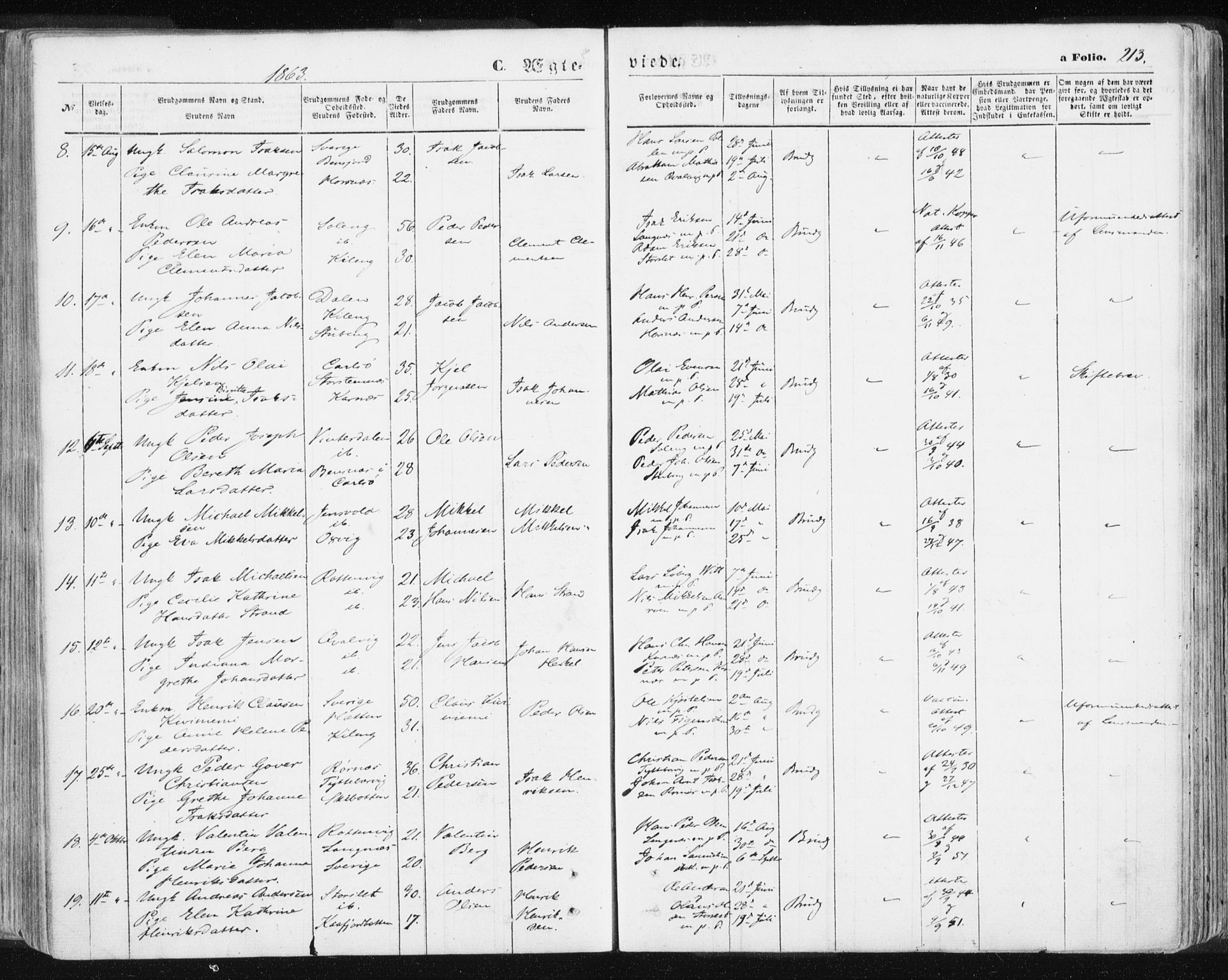 Lyngen sokneprestembete, SATØ/S-1289/H/He/Hea/L0005kirke: Parish register (official) no. 5, 1859-1869, p. 213