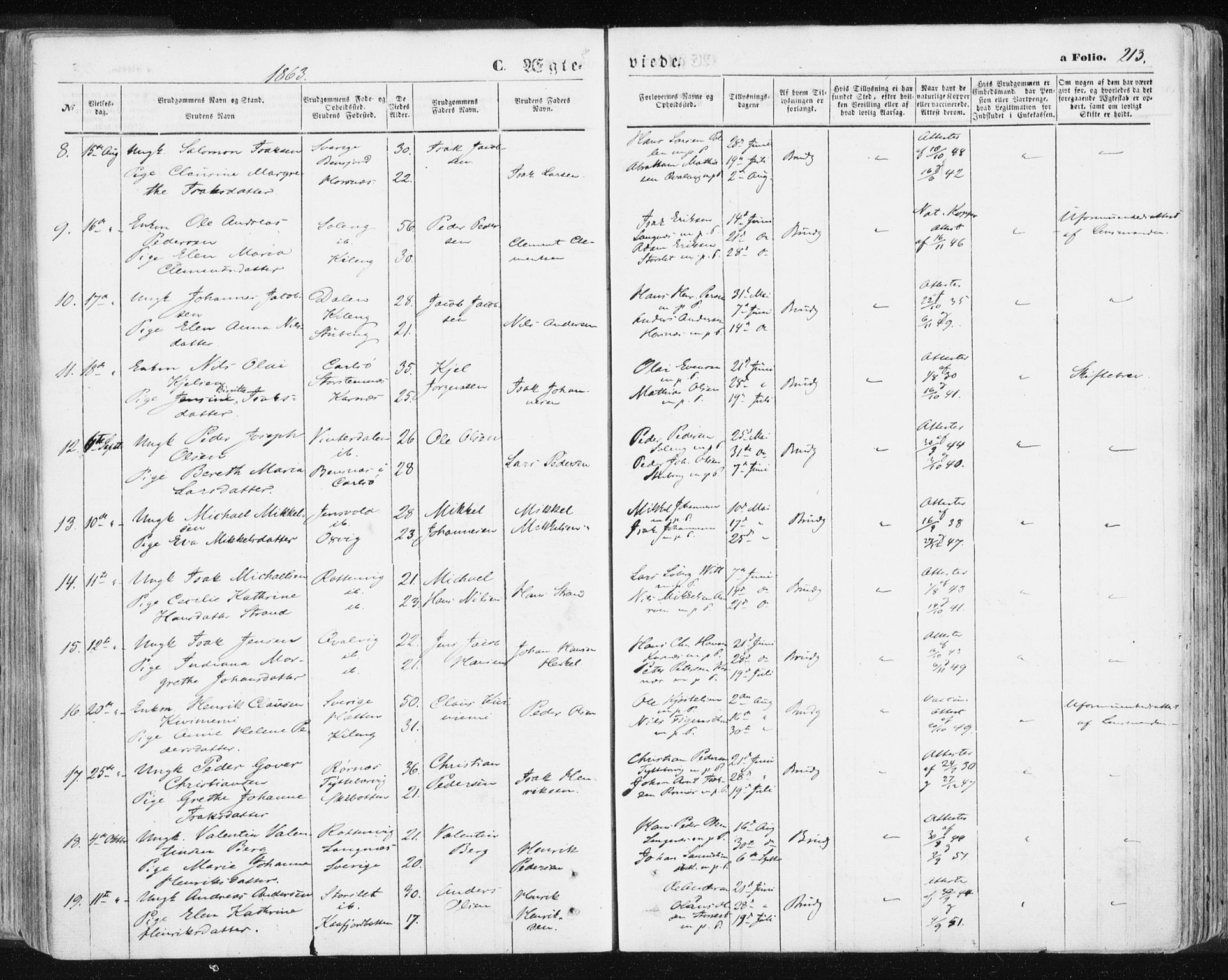 Lyngen sokneprestembete, AV/SATØ-S-1289/H/He/Hea/L0005kirke: Parish register (official) no. 5, 1859-1869, p. 213