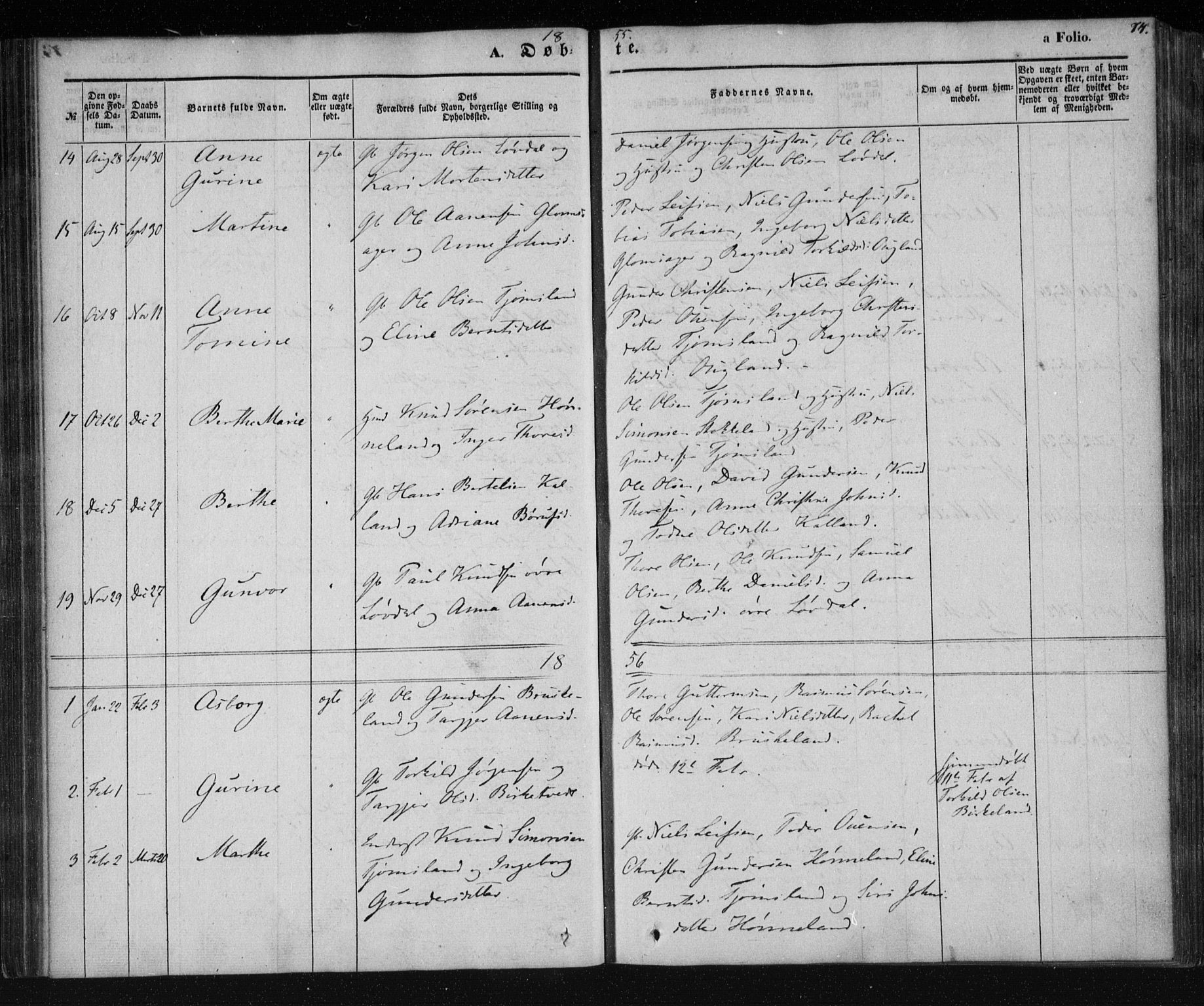 Holum sokneprestkontor, AV/SAK-1111-0022/F/Fa/Fab/L0005: Parish register (official) no. A 5, 1847-1874, p. 74