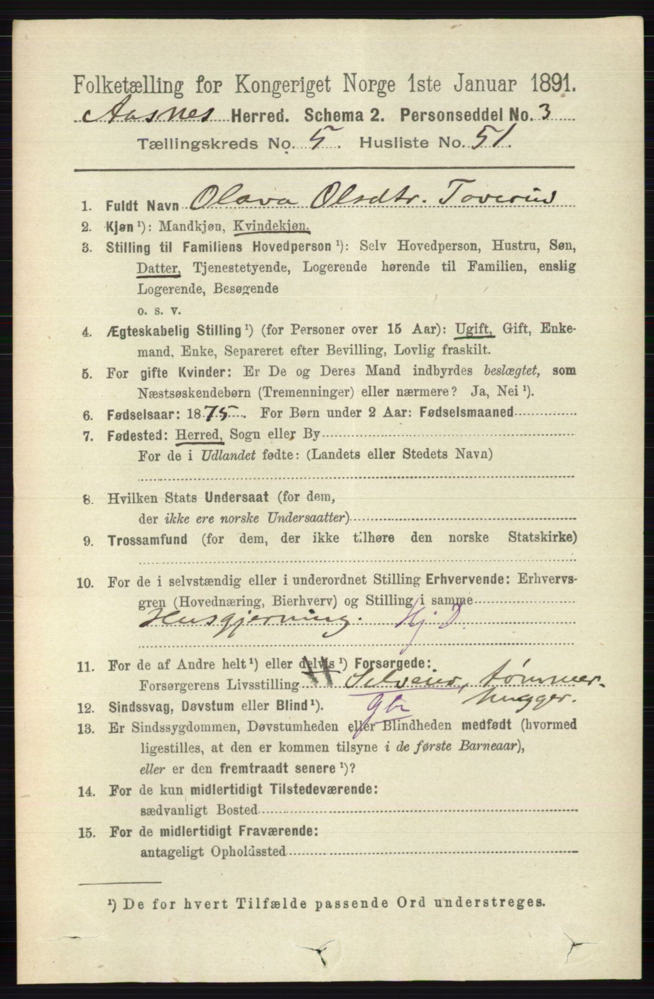 RA, 1891 census for 0425 Åsnes, 1891, p. 2704