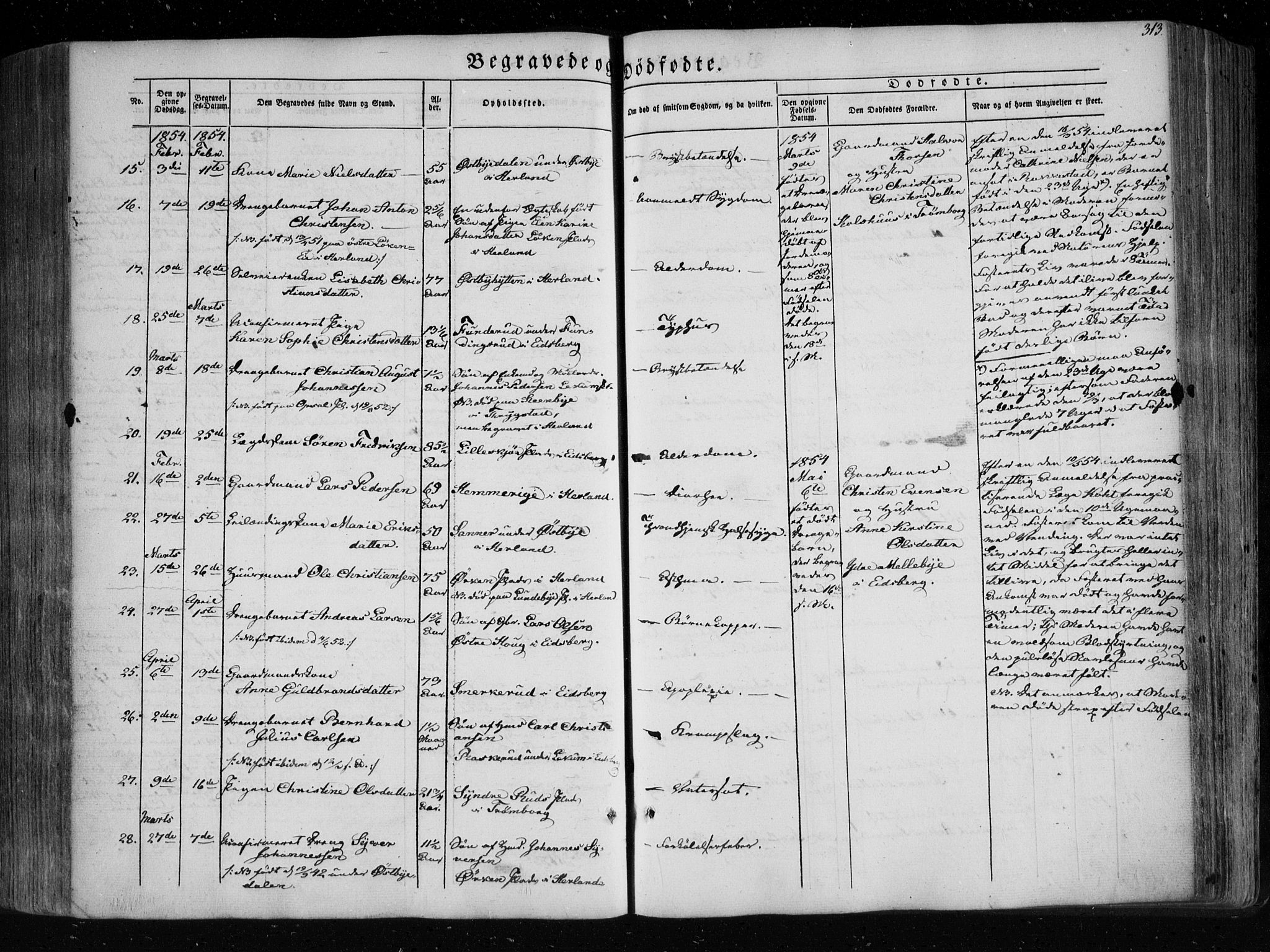 Eidsberg prestekontor Kirkebøker, AV/SAO-A-10905/F/Fa/L0009: Parish register (official) no. I 9, 1849-1856, p. 313