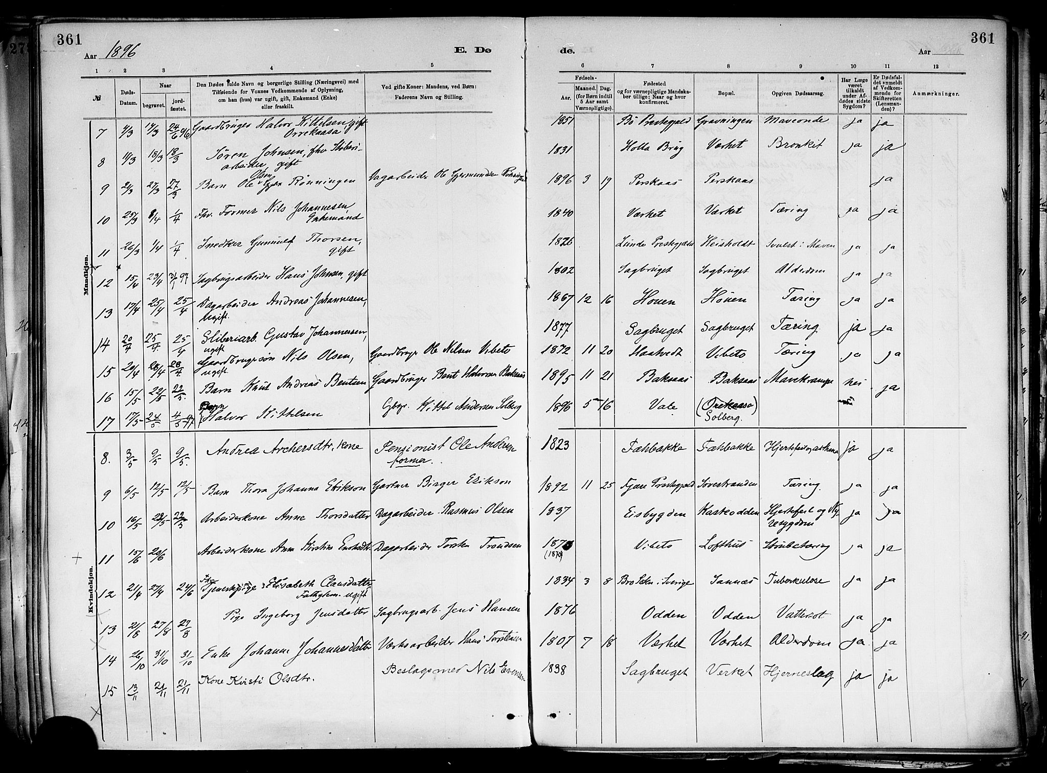 Holla kirkebøker, SAKO/A-272/F/Fa/L0008: Parish register (official) no. 8, 1882-1897, p. 361