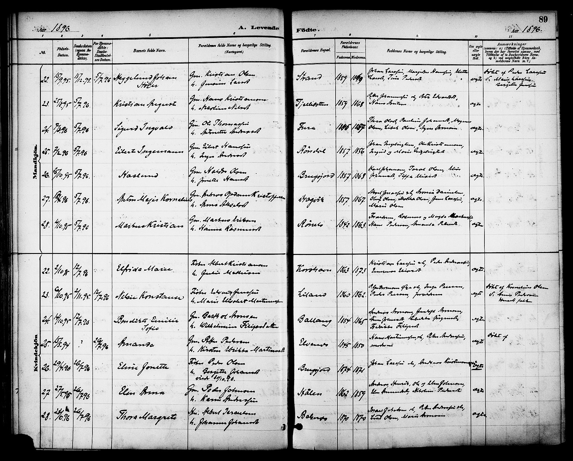 Ministerialprotokoller, klokkerbøker og fødselsregistre - Nordland, SAT/A-1459/863/L0898: Parish register (official) no. 863A10, 1886-1897, p. 89