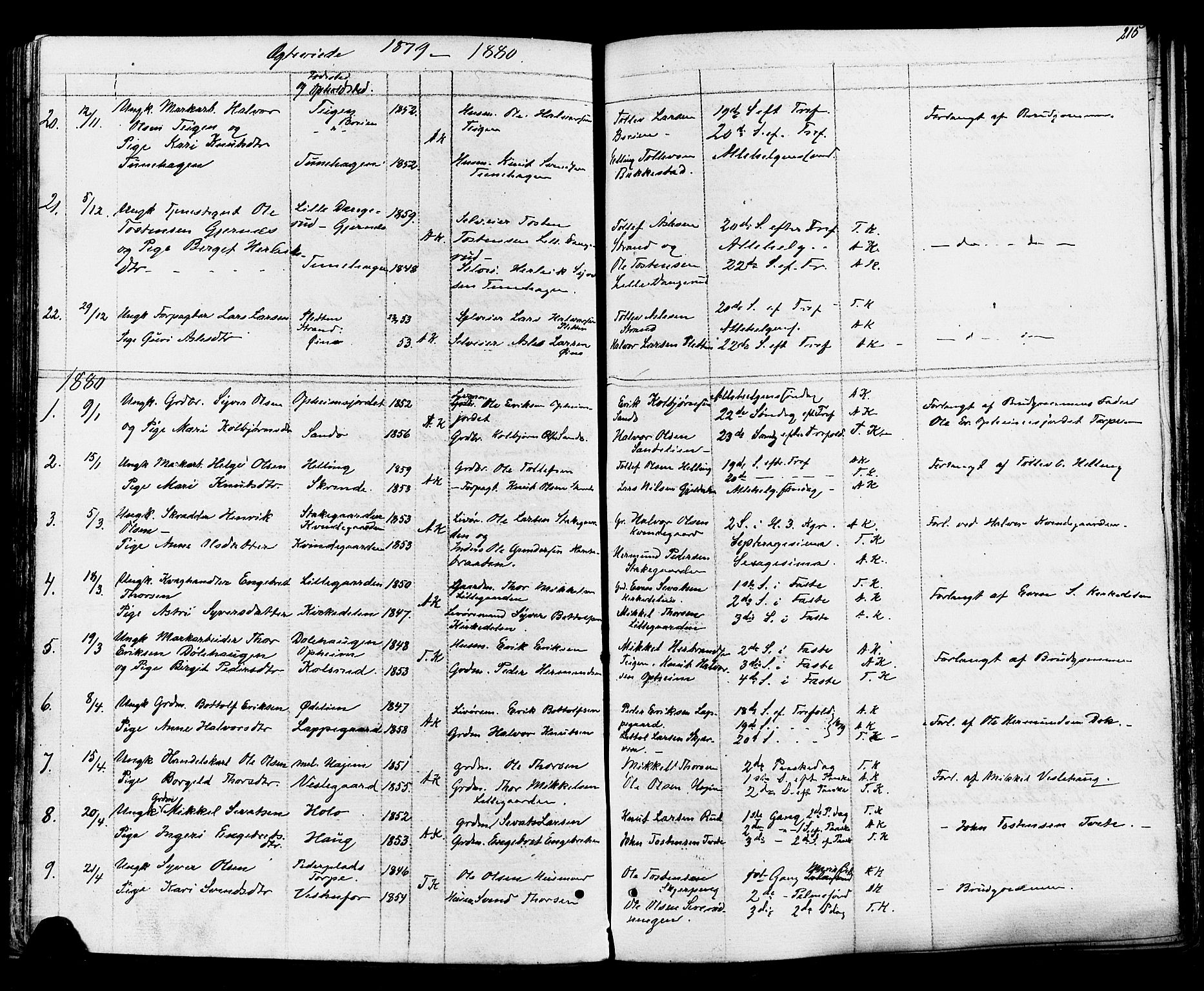 Ål kirkebøker, AV/SAKO-A-249/F/Fa/L0007: Parish register (official) no. I 7, 1865-1881, p. 215