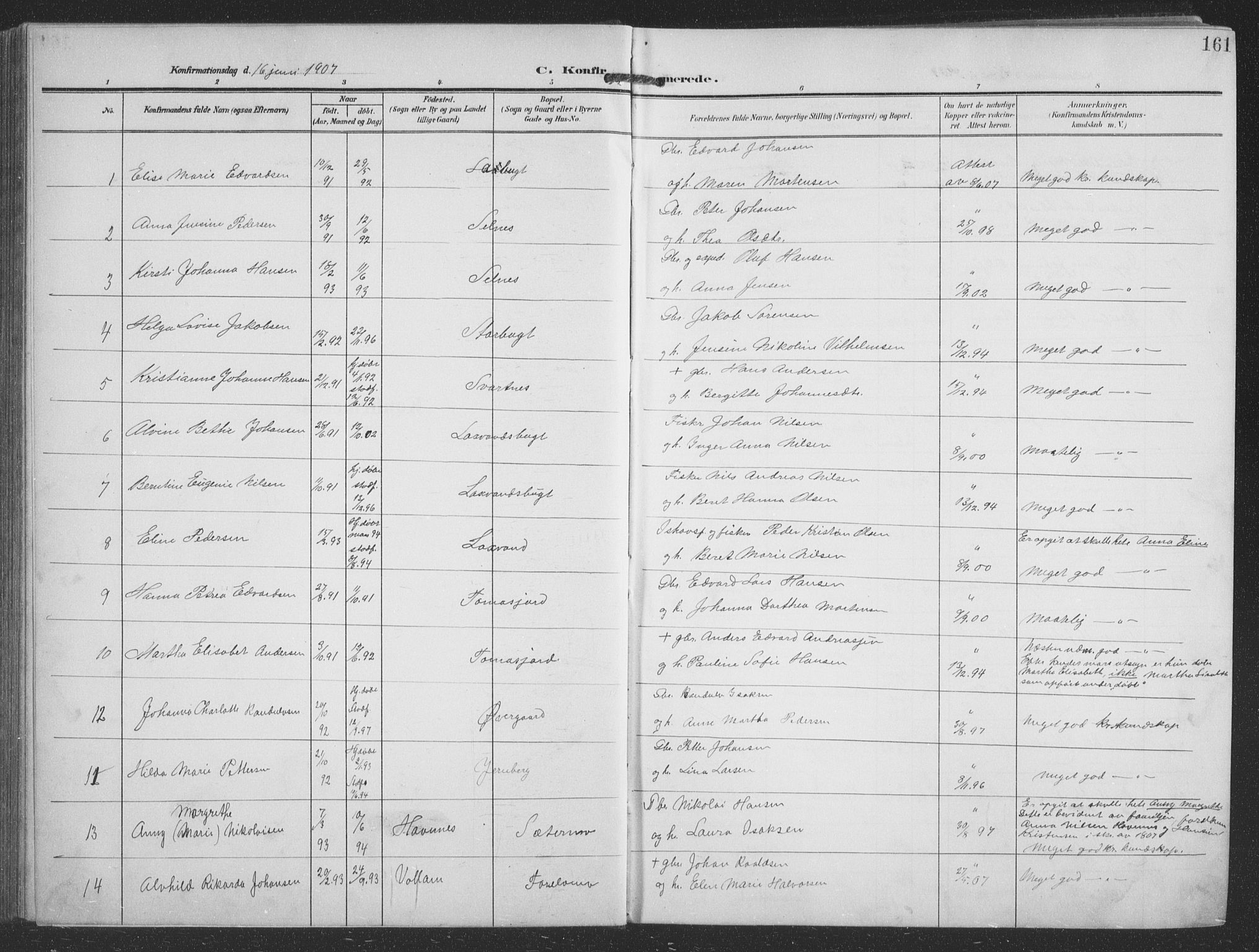 Balsfjord sokneprestembete, AV/SATØ-S-1303/G/Gab/L0009klokker: Parish register (copy) no. 9, 1906-1920, p. 161