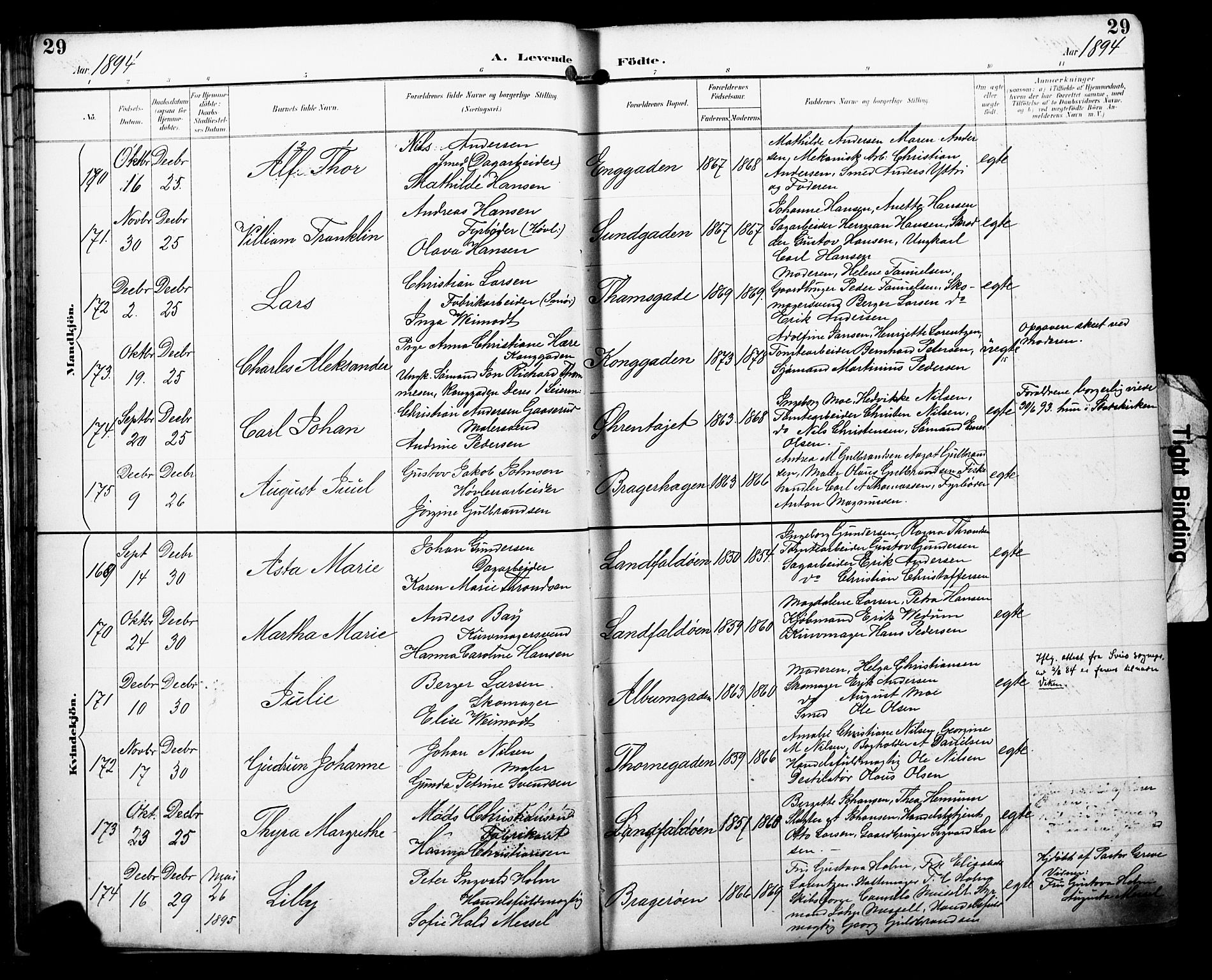 Bragernes kirkebøker, SAKO/A-6/F/Fb/L0008: Parish register (official) no. II 8, 1894-1902, p. 29