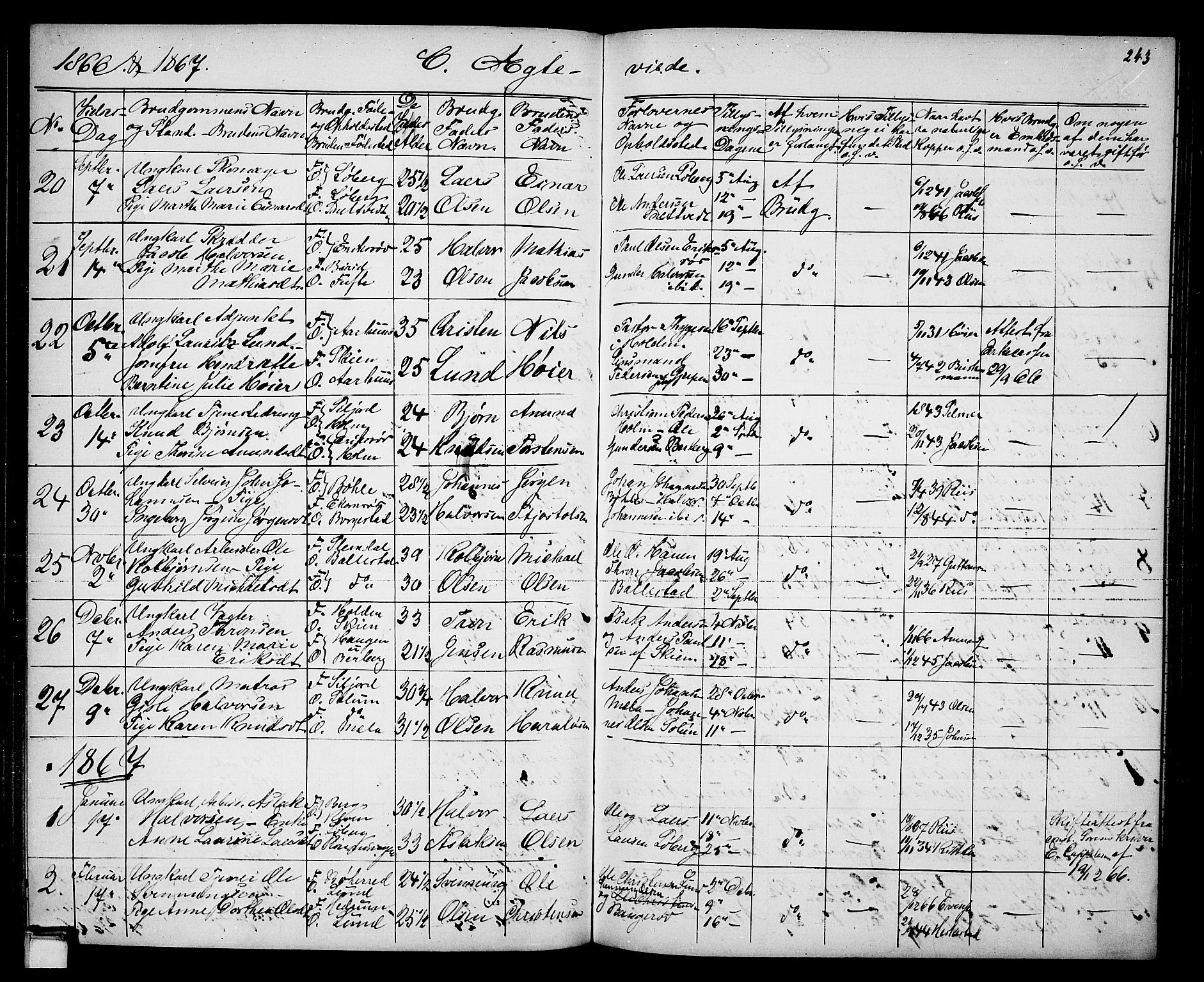 Gjerpen kirkebøker, SAKO/A-265/G/Ga/L0001: Parish register (copy) no. I 1, 1864-1882, p. 243