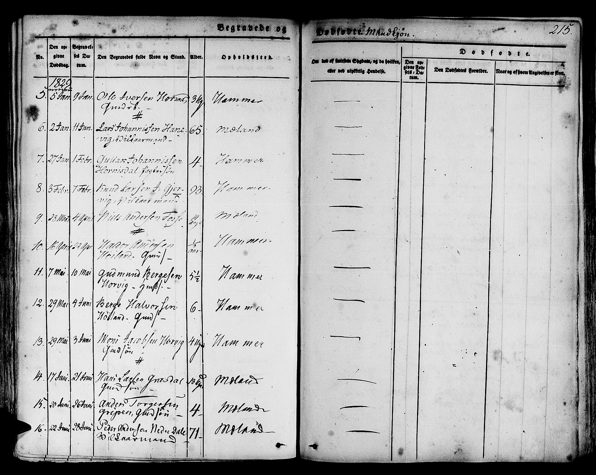 Hamre sokneprestembete, SAB/A-75501/H/Ha/Haa/Haaa/L0011: Parish register (official) no. A 11, 1826-1834, p. 215