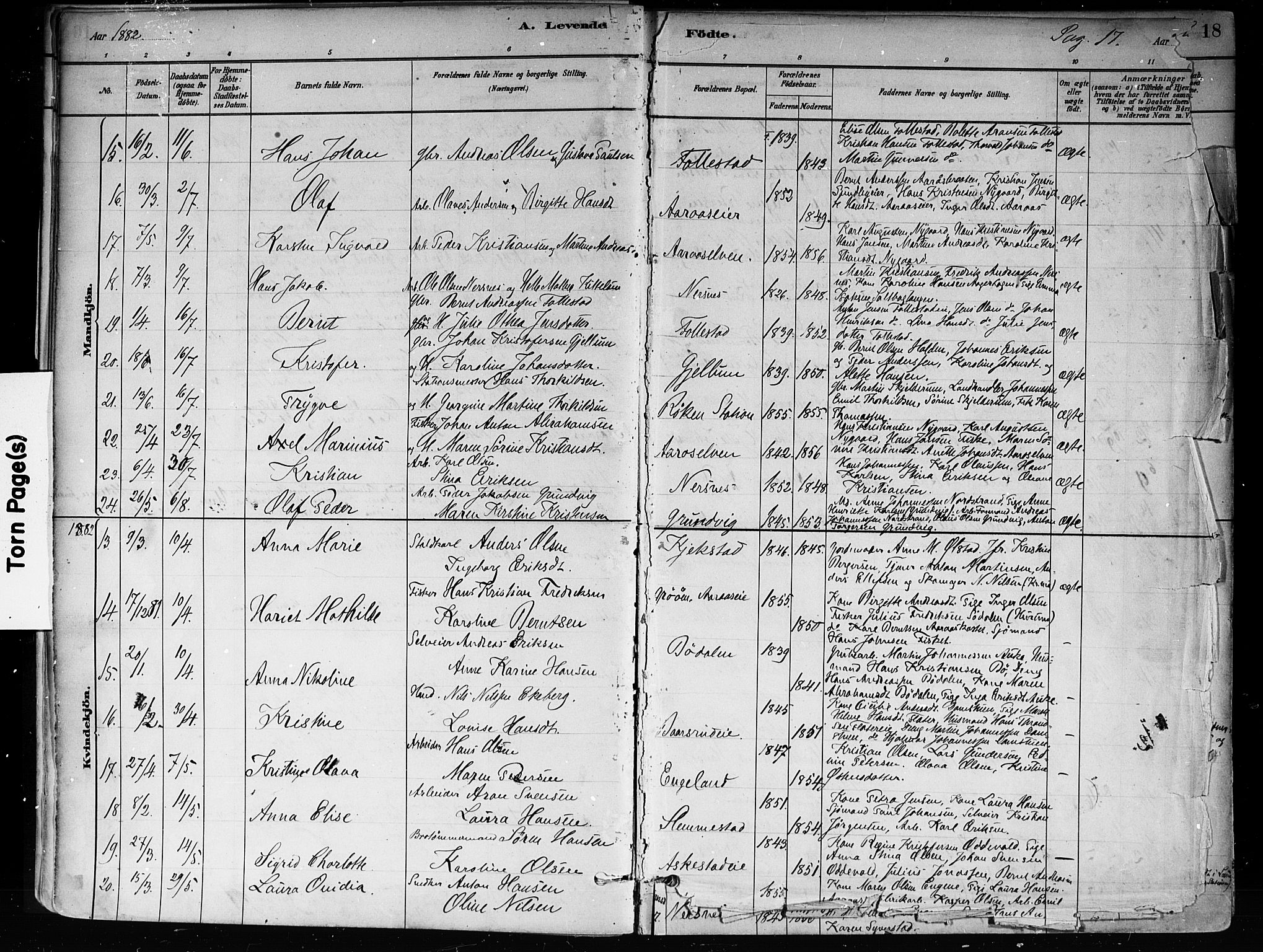 Røyken kirkebøker, AV/SAKO-A-241/F/Fa/L0008: Parish register (official) no. 8, 1880-1897, p. 17