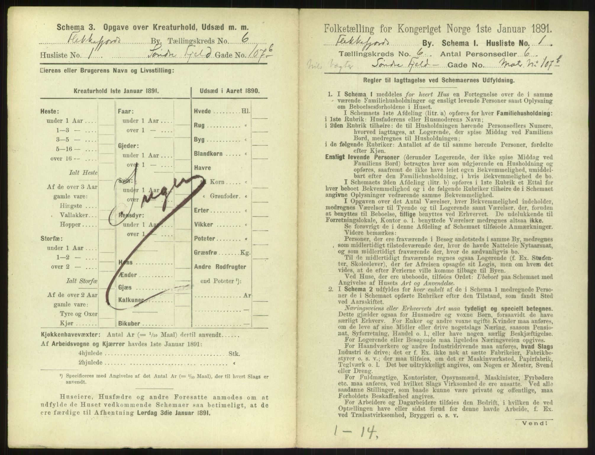 RA, 1891 census for 1004 Flekkefjord, 1891, p. 224