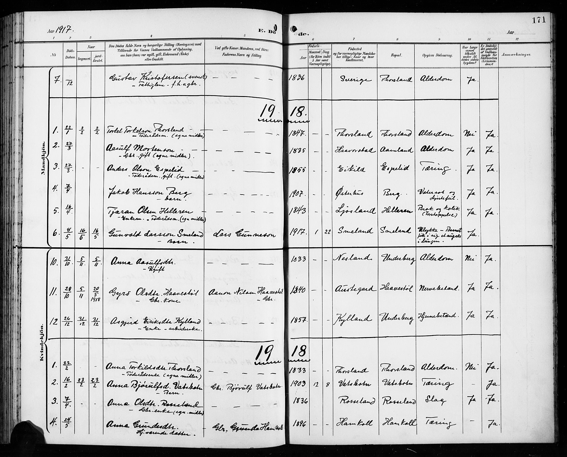 Åseral sokneprestkontor, AV/SAK-1111-0051/F/Fb/L0003: Parish register (copy) no. B 3, 1900-1919, p. 171