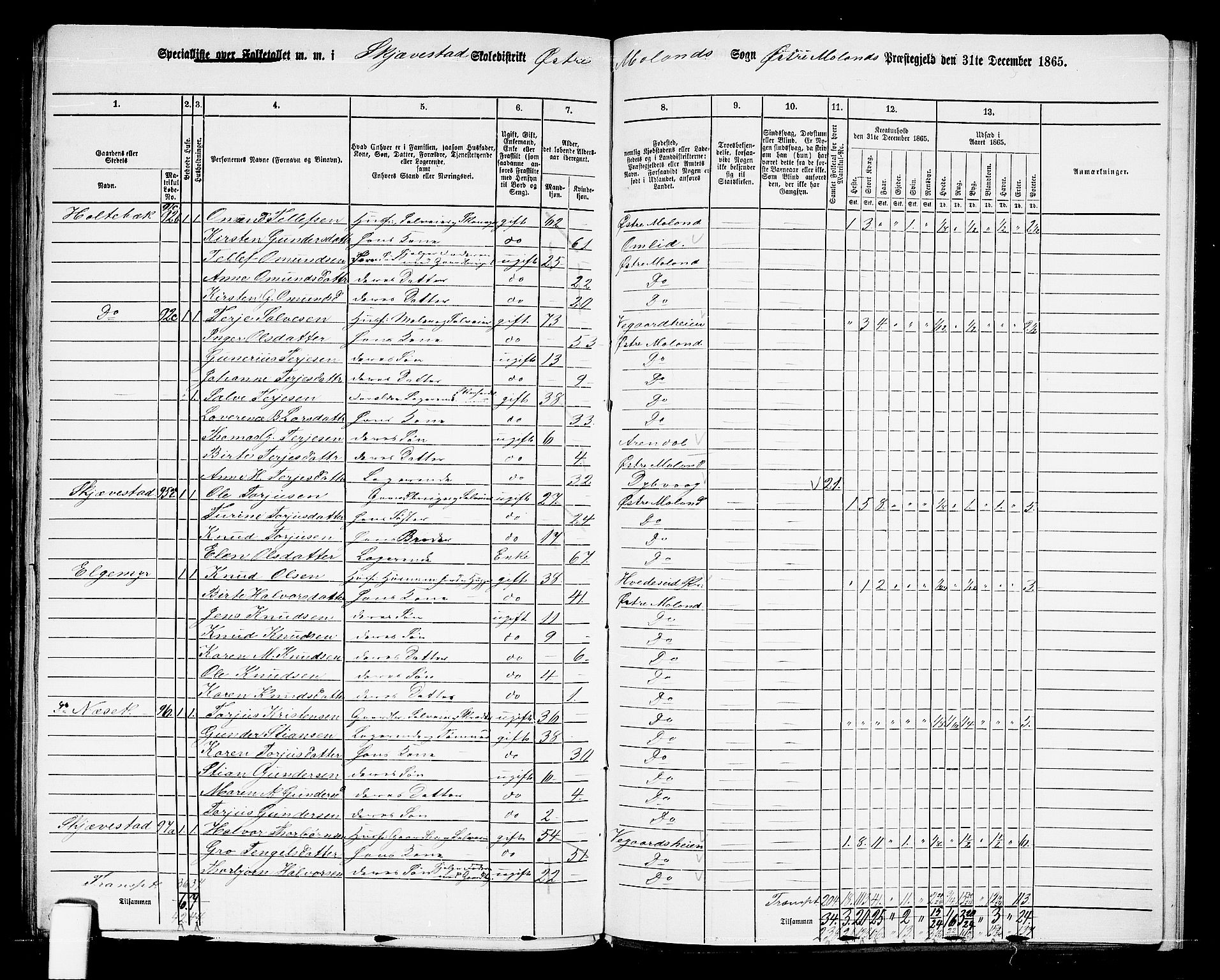 RA, 1865 census for Austre Moland, 1865, p. 315