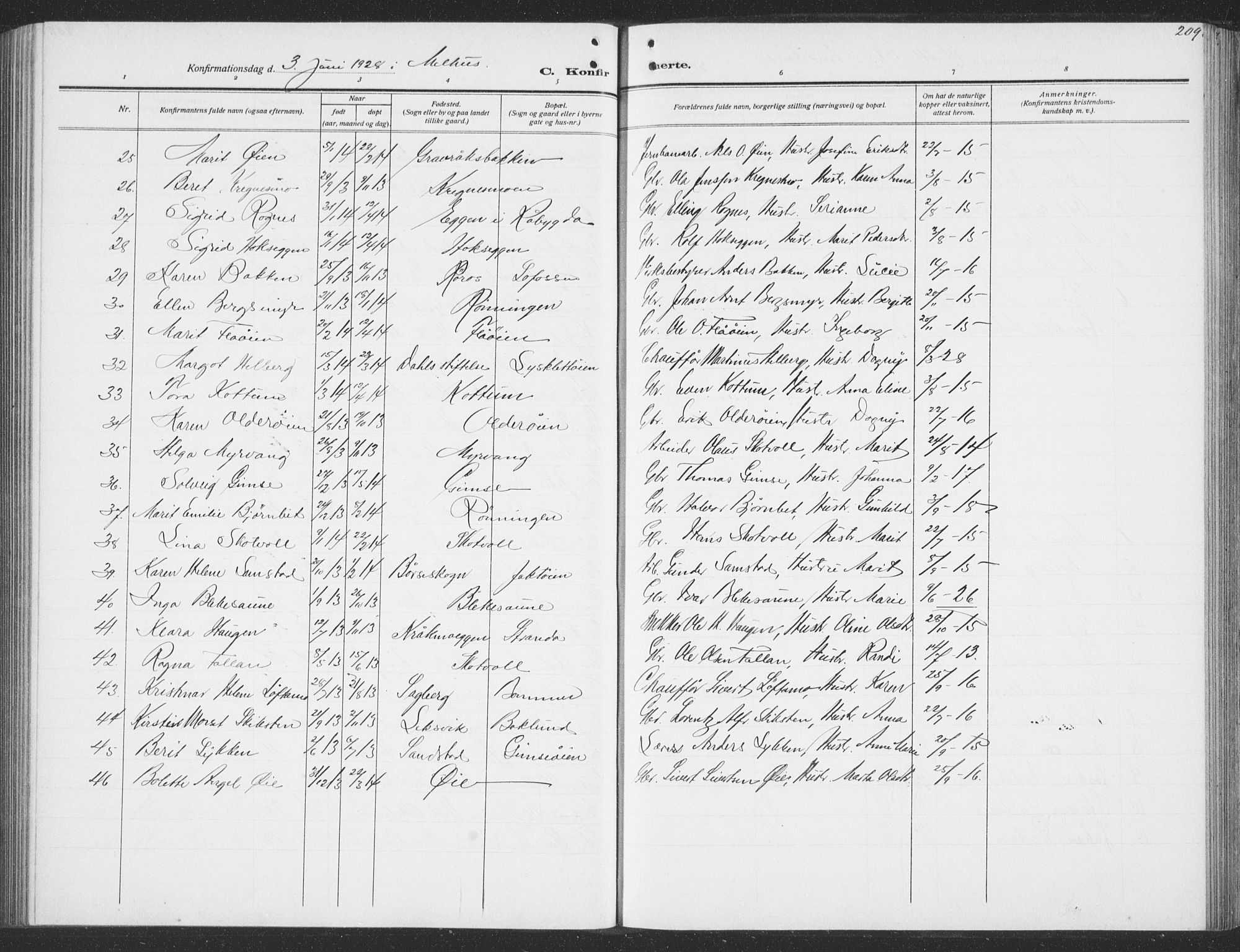 Ministerialprotokoller, klokkerbøker og fødselsregistre - Sør-Trøndelag, SAT/A-1456/691/L1095: Parish register (copy) no. 691C06, 1912-1933, p. 209