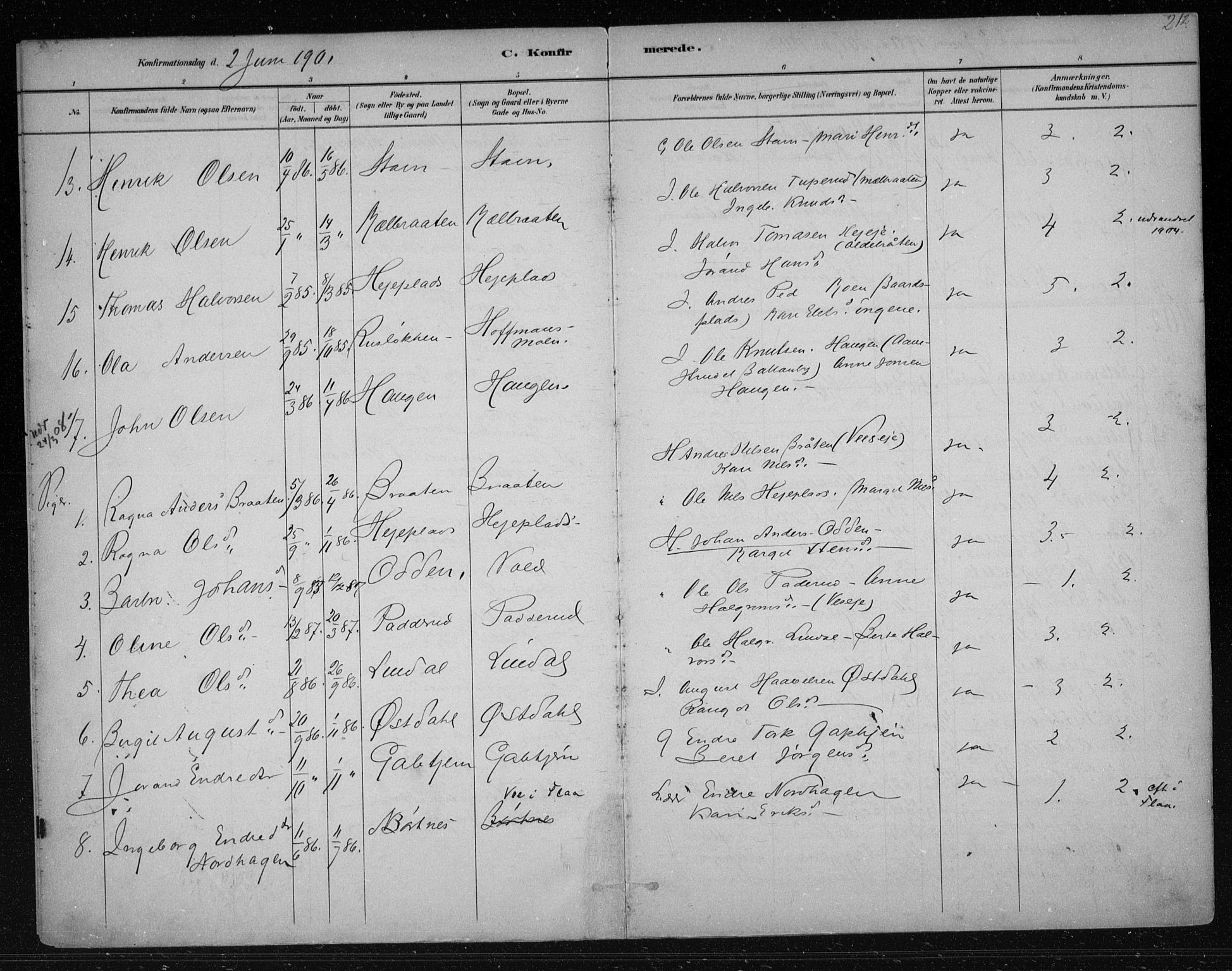 Nes kirkebøker, AV/SAKO-A-236/F/Fa/L0012: Parish register (official) no. 12, 1881-1917, p. 212