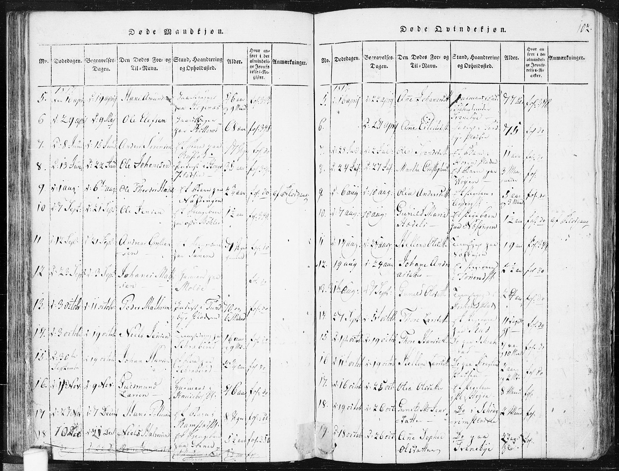 Spydeberg prestekontor Kirkebøker, AV/SAO-A-10924/F/Fa/L0004: Parish register (official) no. I 4, 1814-1841, p. 102