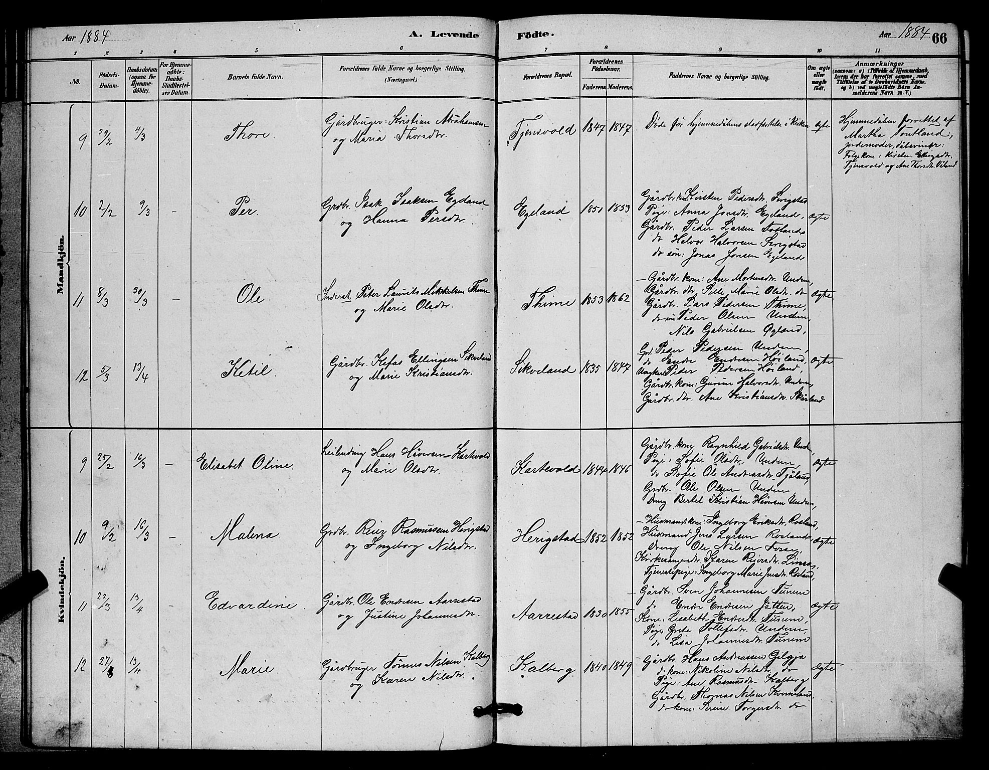 Lye sokneprestkontor, AV/SAST-A-101794/001/30BB/L0006: Parish register (copy) no. B 6, 1879-1888, p. 66