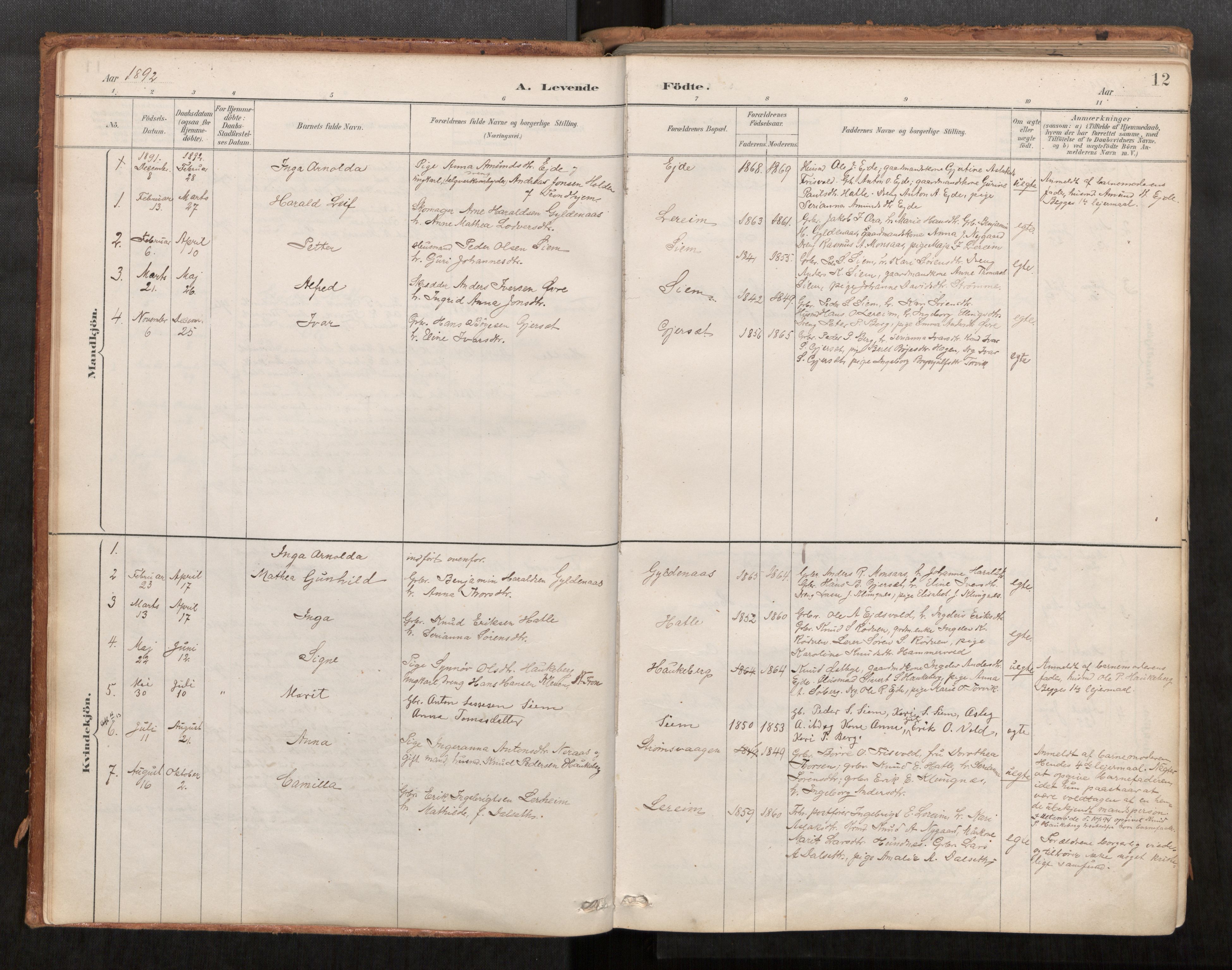 Ministerialprotokoller, klokkerbøker og fødselsregistre - Møre og Romsdal, AV/SAT-A-1454/542/L0553: Parish register (official) no. 542A03, 1885-1925, p. 12