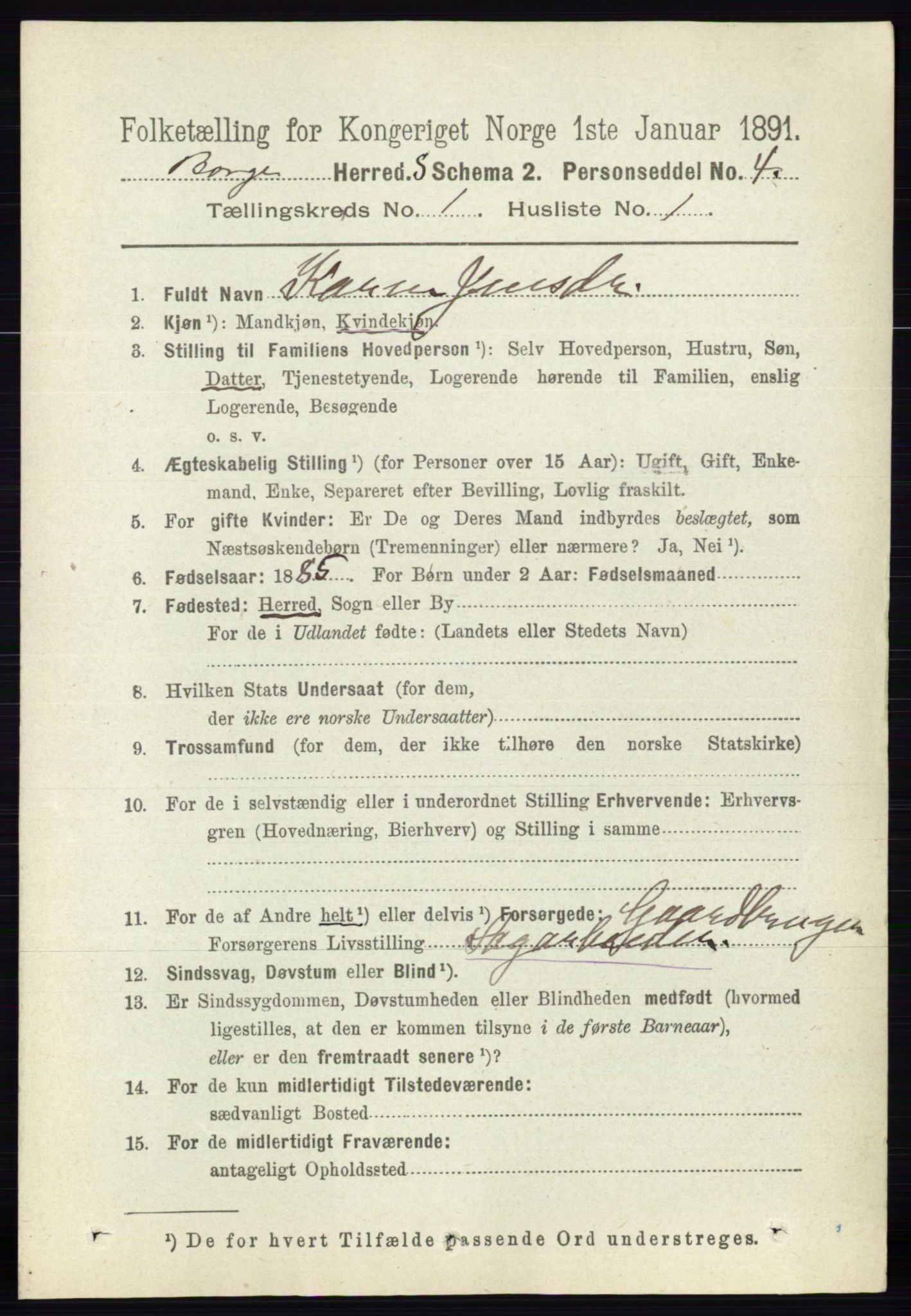 RA, 1891 census for 0113 Borge, 1891, p. 133