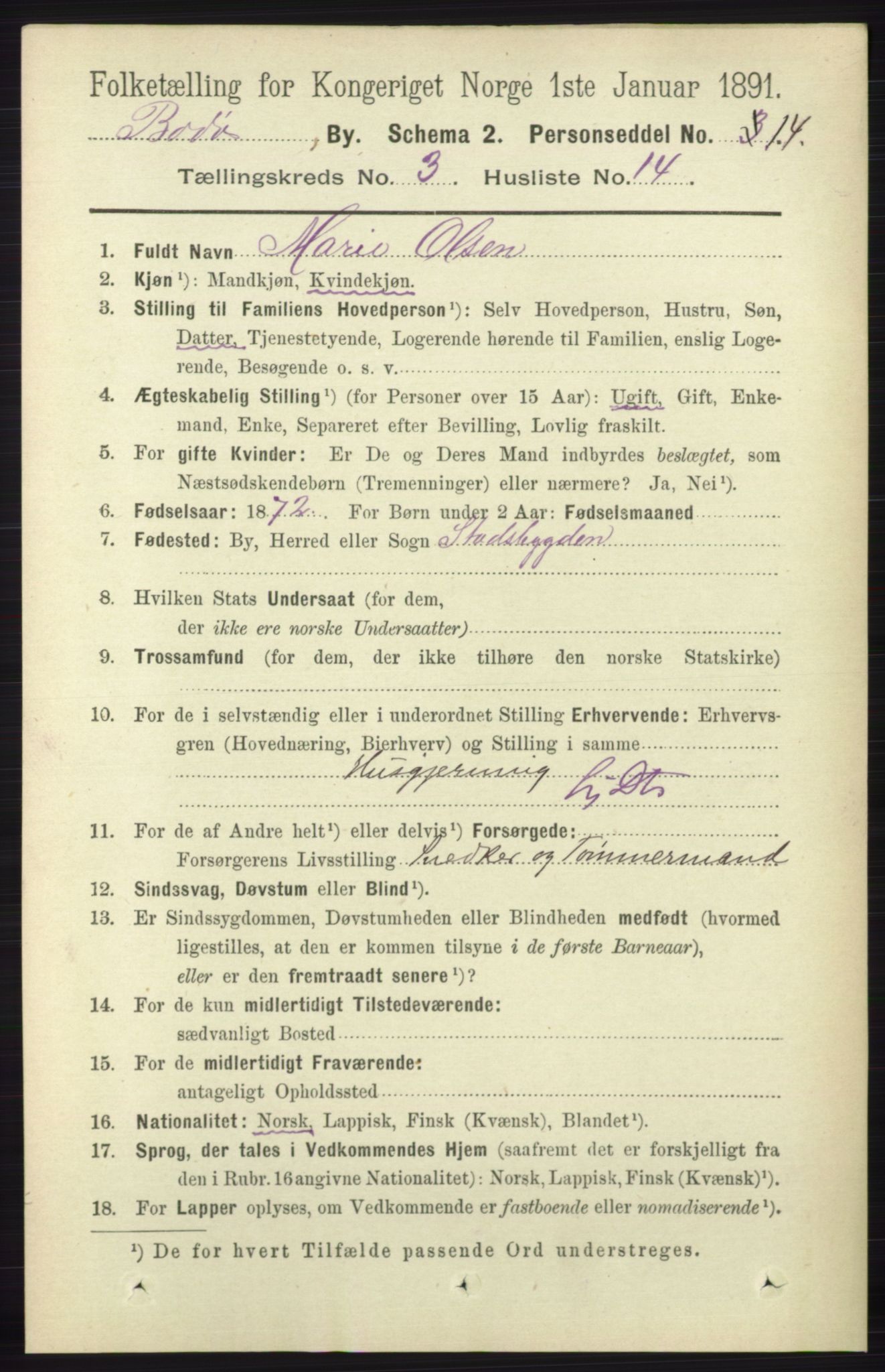 RA, 1891 census for 1804 Bodø, 1891, p. 2193