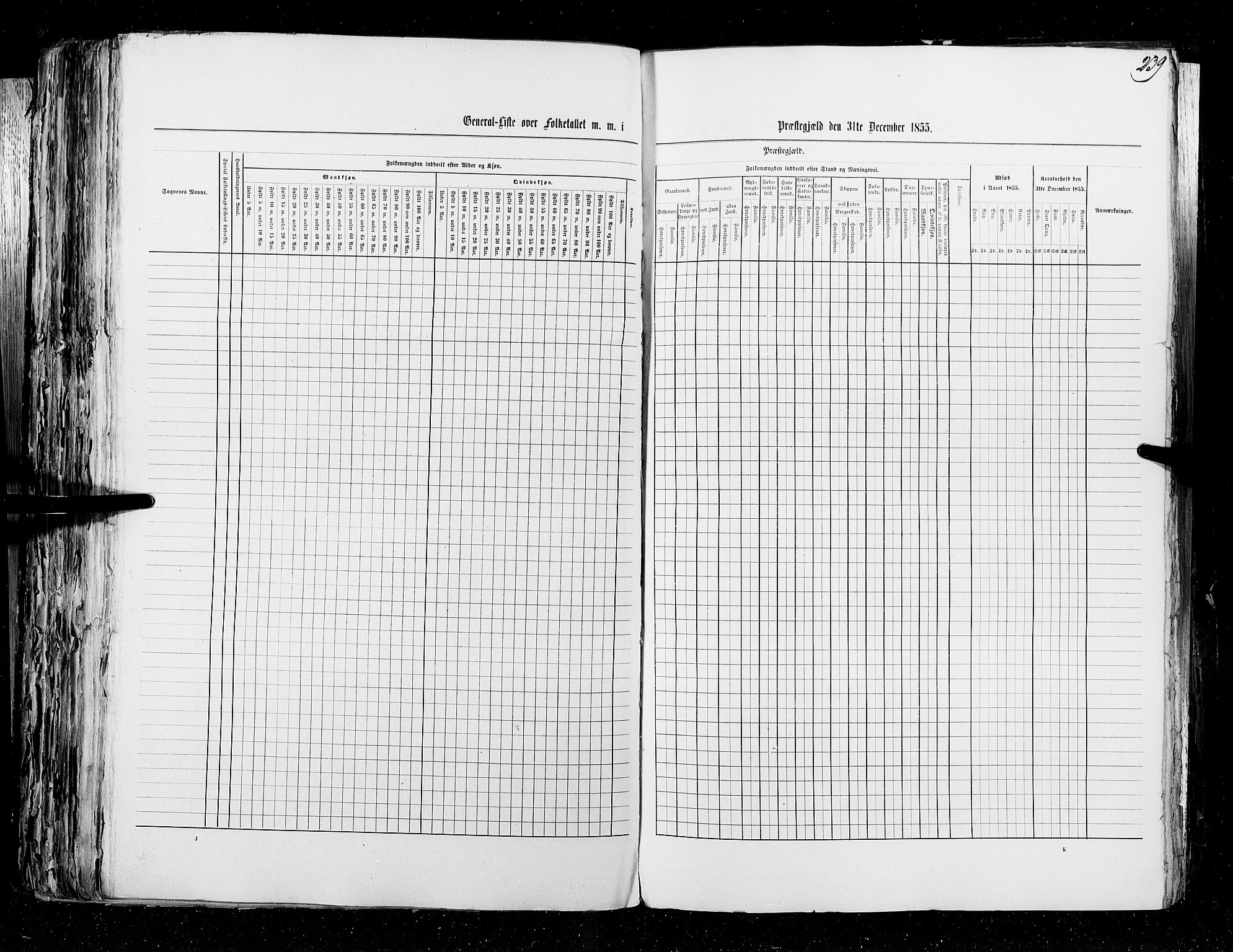 RA, Census 1855, vol. 5: Nordre Bergenhus amt, Romsdal amt og Søndre Trondhjem amt, 1855, p. 239