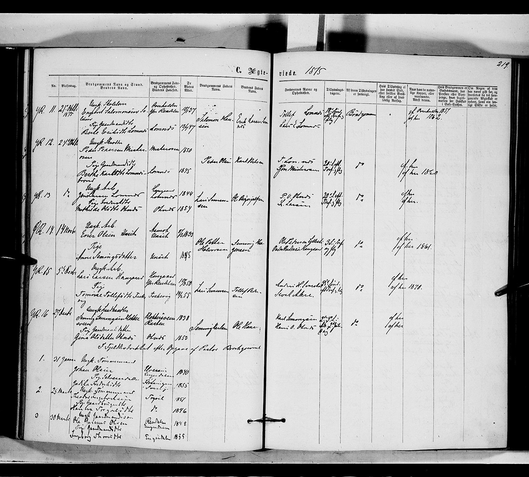 Rendalen prestekontor, SAH/PREST-054/H/Ha/Haa/L0006: Parish register (official) no. 6, 1867-1877, p. 219