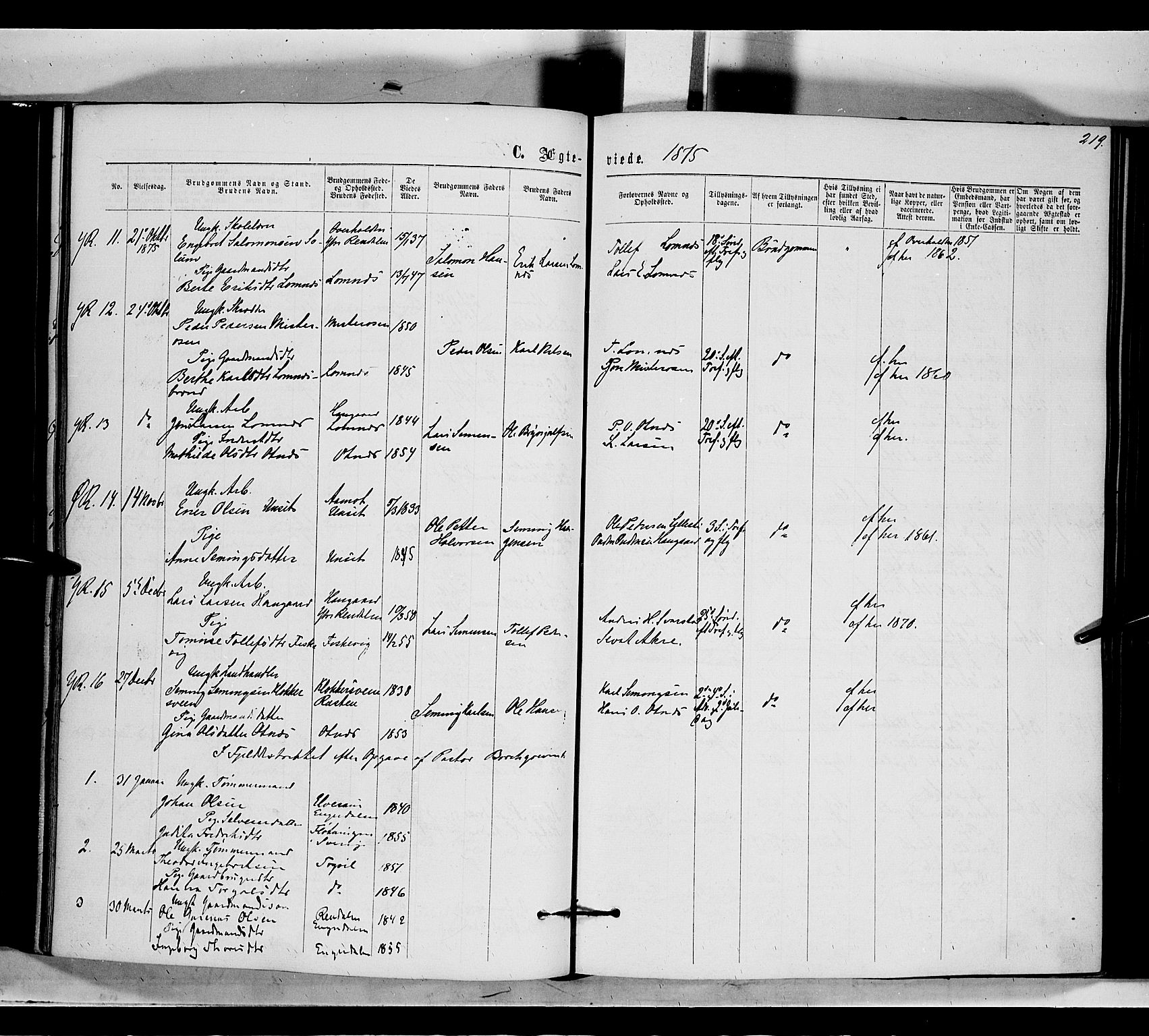 Rendalen prestekontor, AV/SAH-PREST-054/H/Ha/Haa/L0006: Parish register (official) no. 6, 1867-1877, p. 219