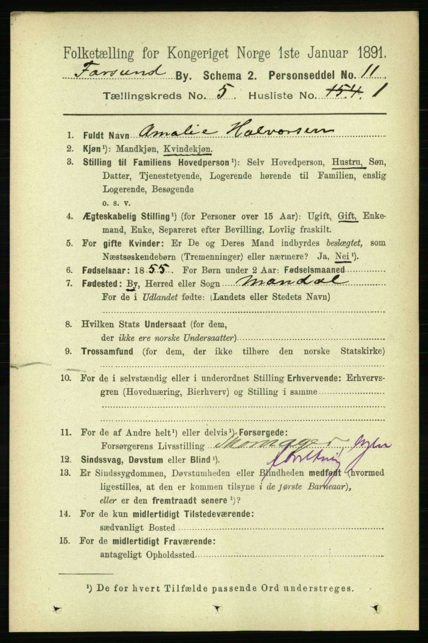 RA, 1891 census for 1003 Farsund, 1891, p. 1956