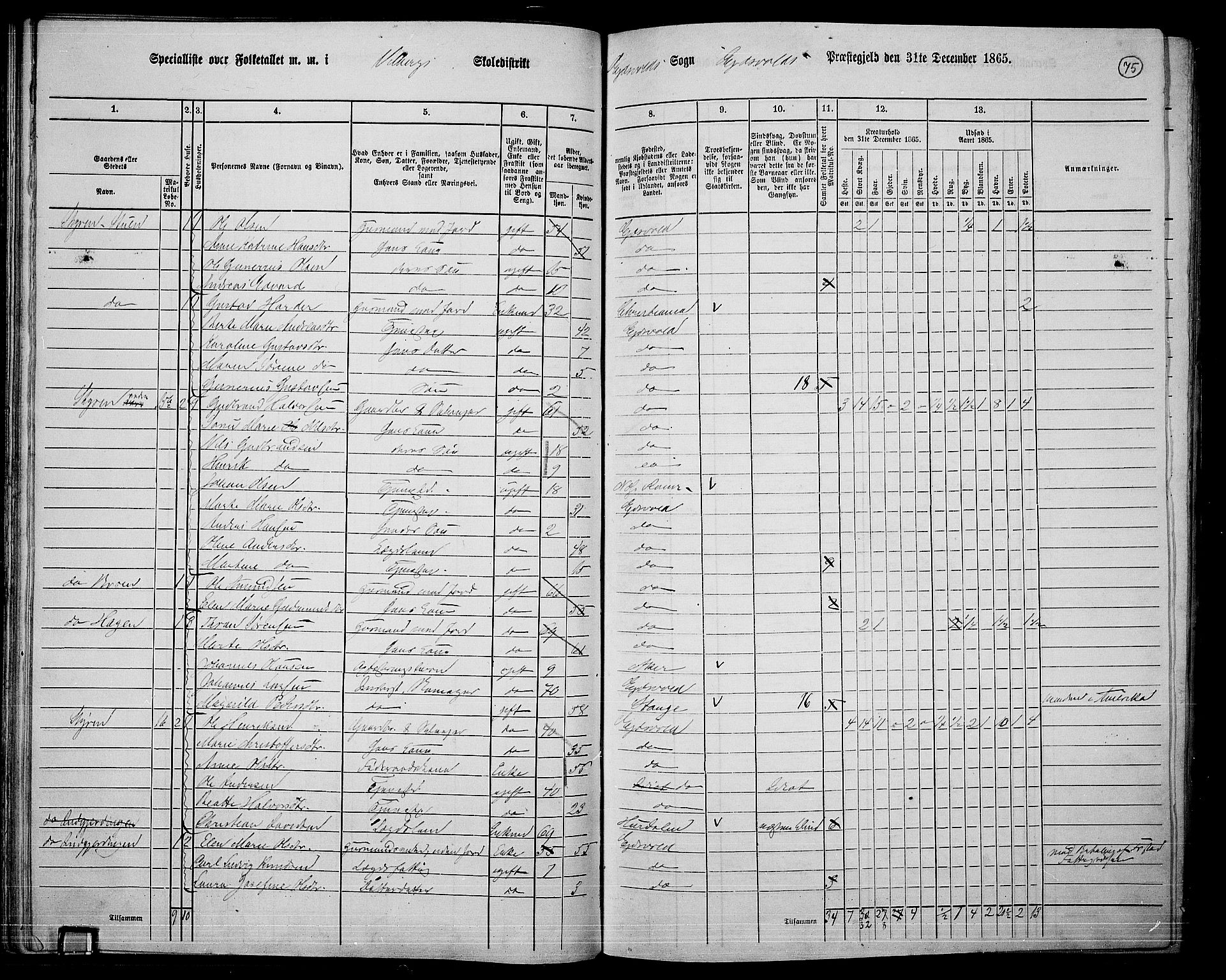 RA, 1865 census for Eidsvoll, 1865, p. 63