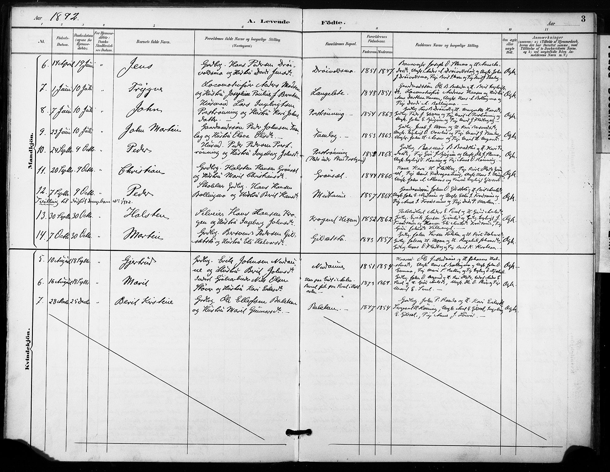 Ministerialprotokoller, klokkerbøker og fødselsregistre - Sør-Trøndelag, SAT/A-1456/685/L0973: Parish register (official) no. 685A10, 1891-1907, p. 3