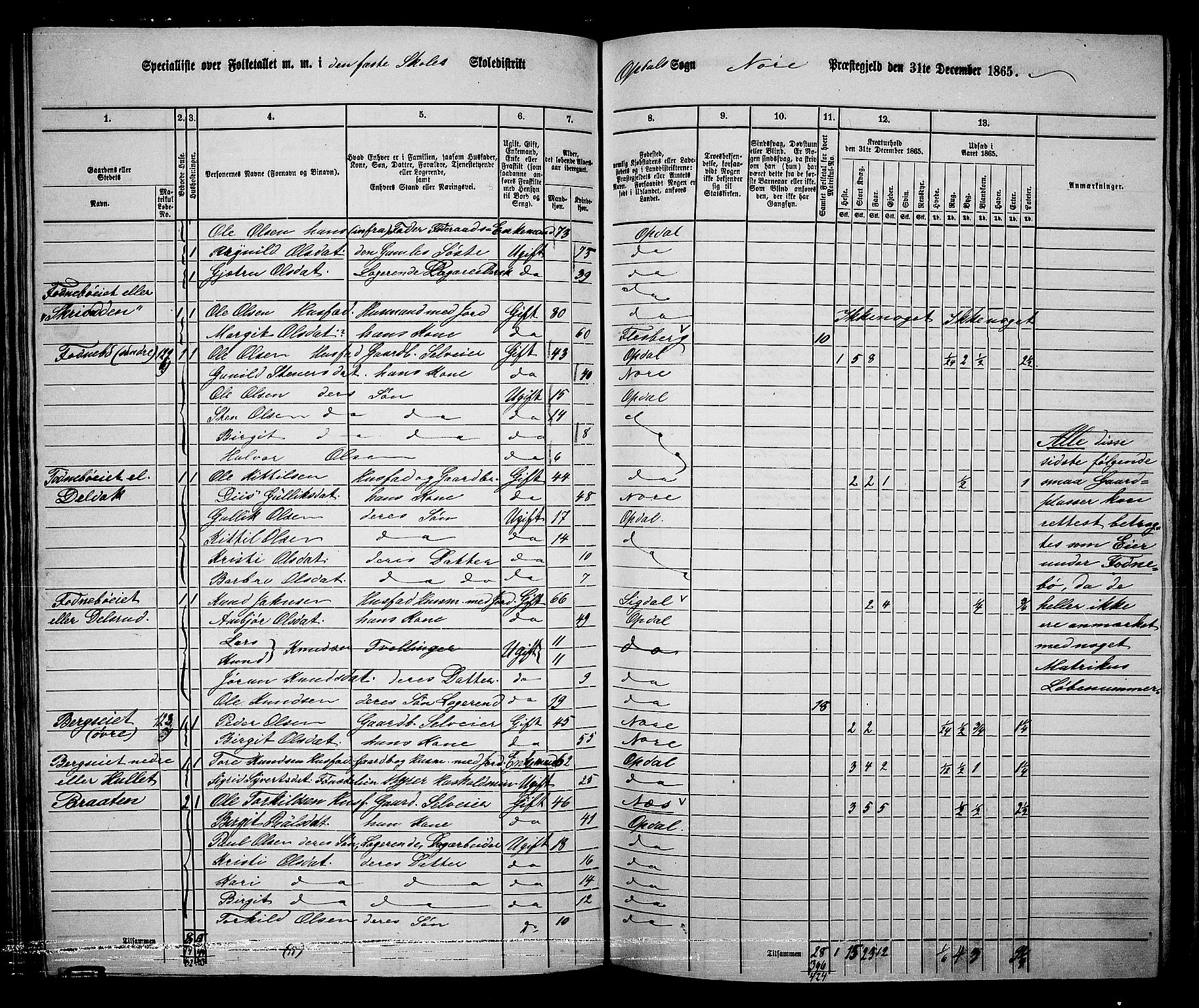 RA, 1865 census for Nore, 1865, p. 100