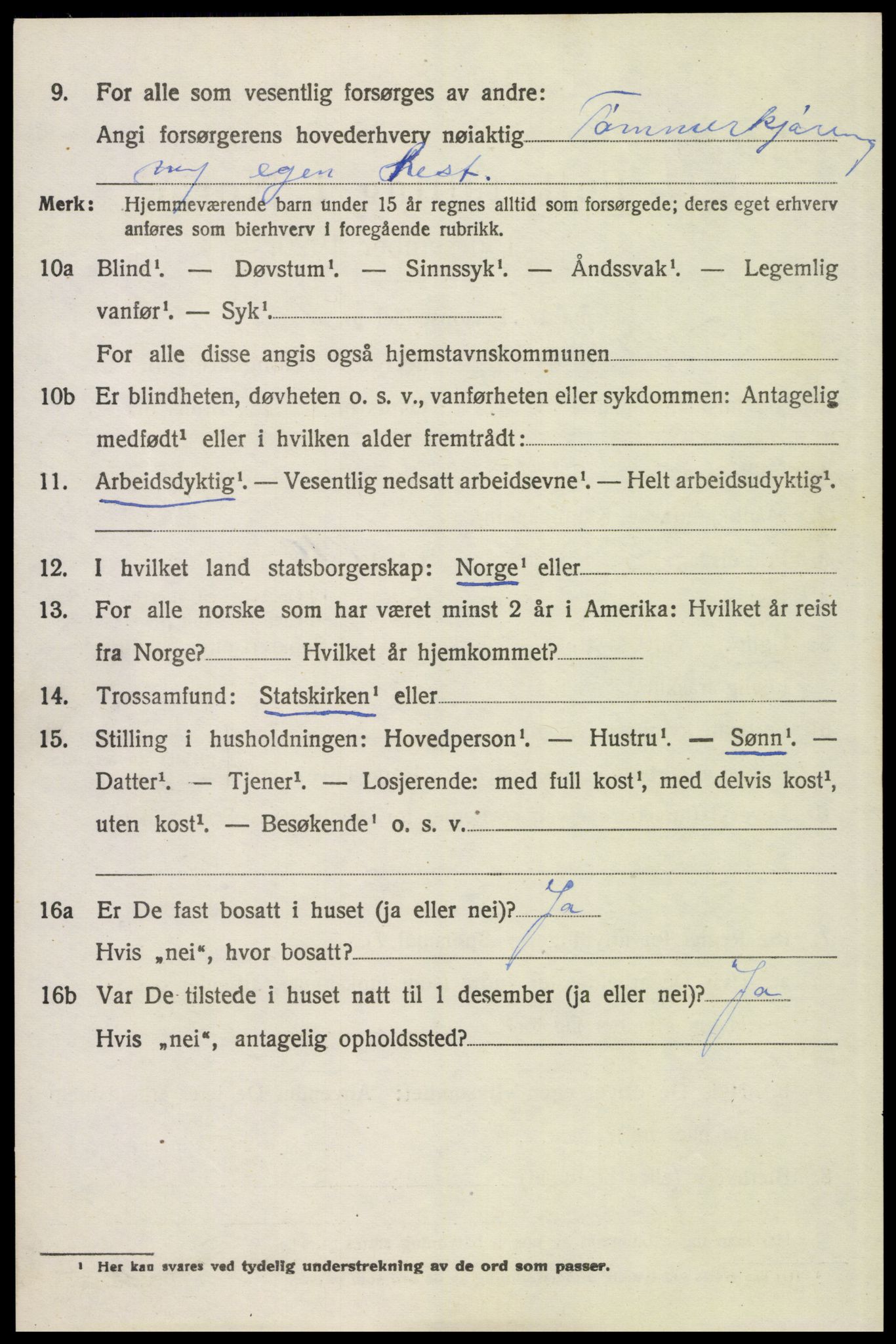 SAH, 1920 census for Trysil, 1920, p. 3096