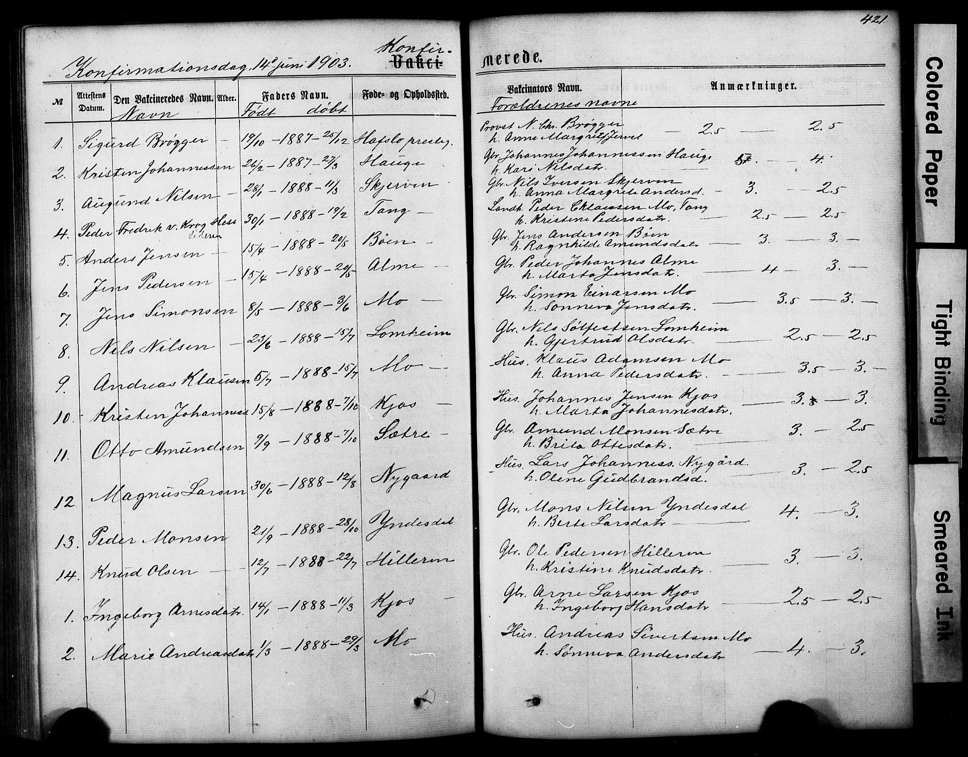 Hafslo sokneprestembete, AV/SAB-A-80301/H/Hab/Haba/L0001: Parish register (copy) no. A 1, 1866-1908, p. 421