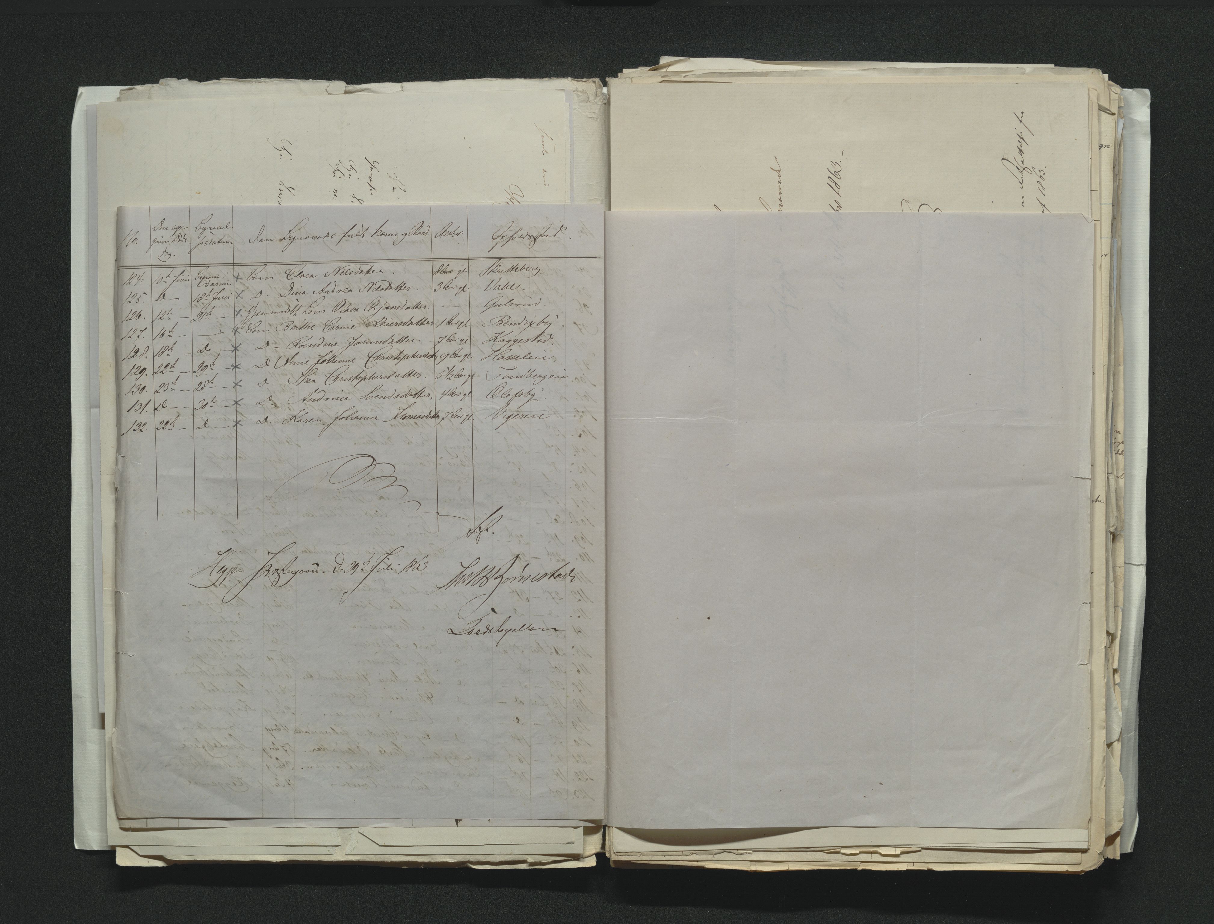 Eiker, Modum og Sigdal sorenskriveri, AV/SAKO-A-123/H/Ha/Hab/L0011: Dødsfallsmeldinger, 1862-1865, p. 227