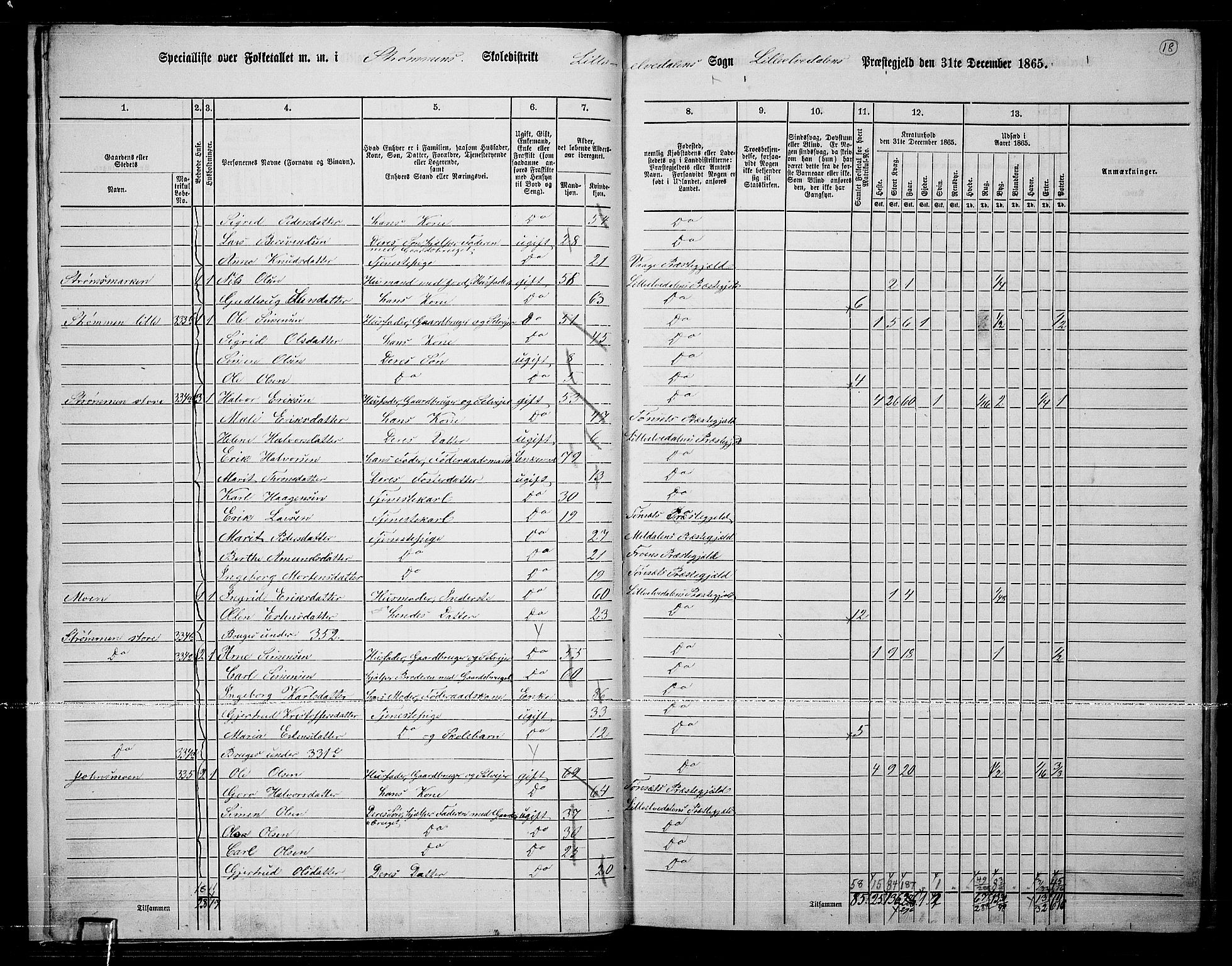 RA, 1865 census for Lille Elvedalen, 1865, p. 17