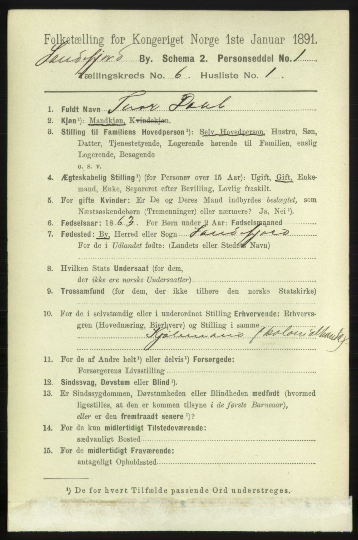 RA, 1891 census for 0706 Sandefjord, 1891, p. 2313